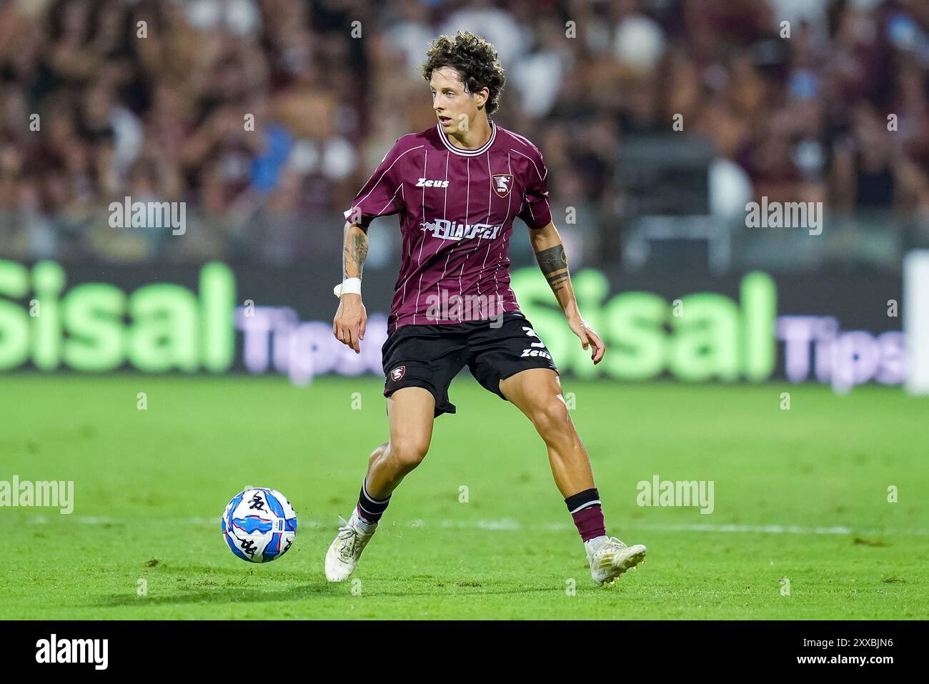 Salerne, Italie. 17 août 2024. Damagoj Bradaric de l'US Salernitana lors du match de Serie BKT entre l'US Salernitana et L'AS Cittadella au Stadio Arechi le 17 août 2024 à Salerne, Italie. Crédit : Giuseppe Maffia/Alamy Live News Banque D'Images