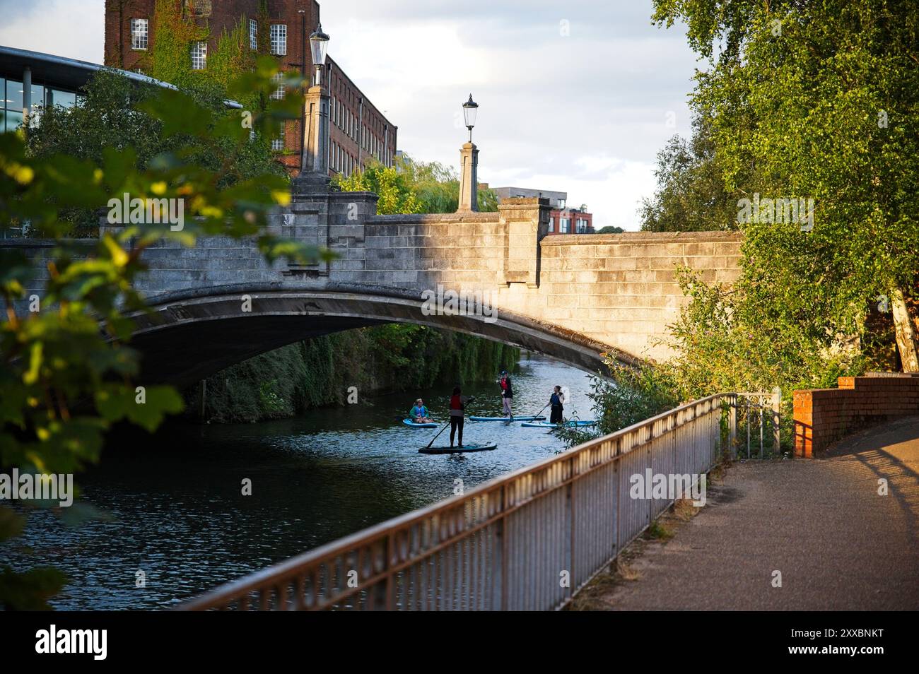 Pont de Norwich River Wensum avec pédalos Banque D'Images
