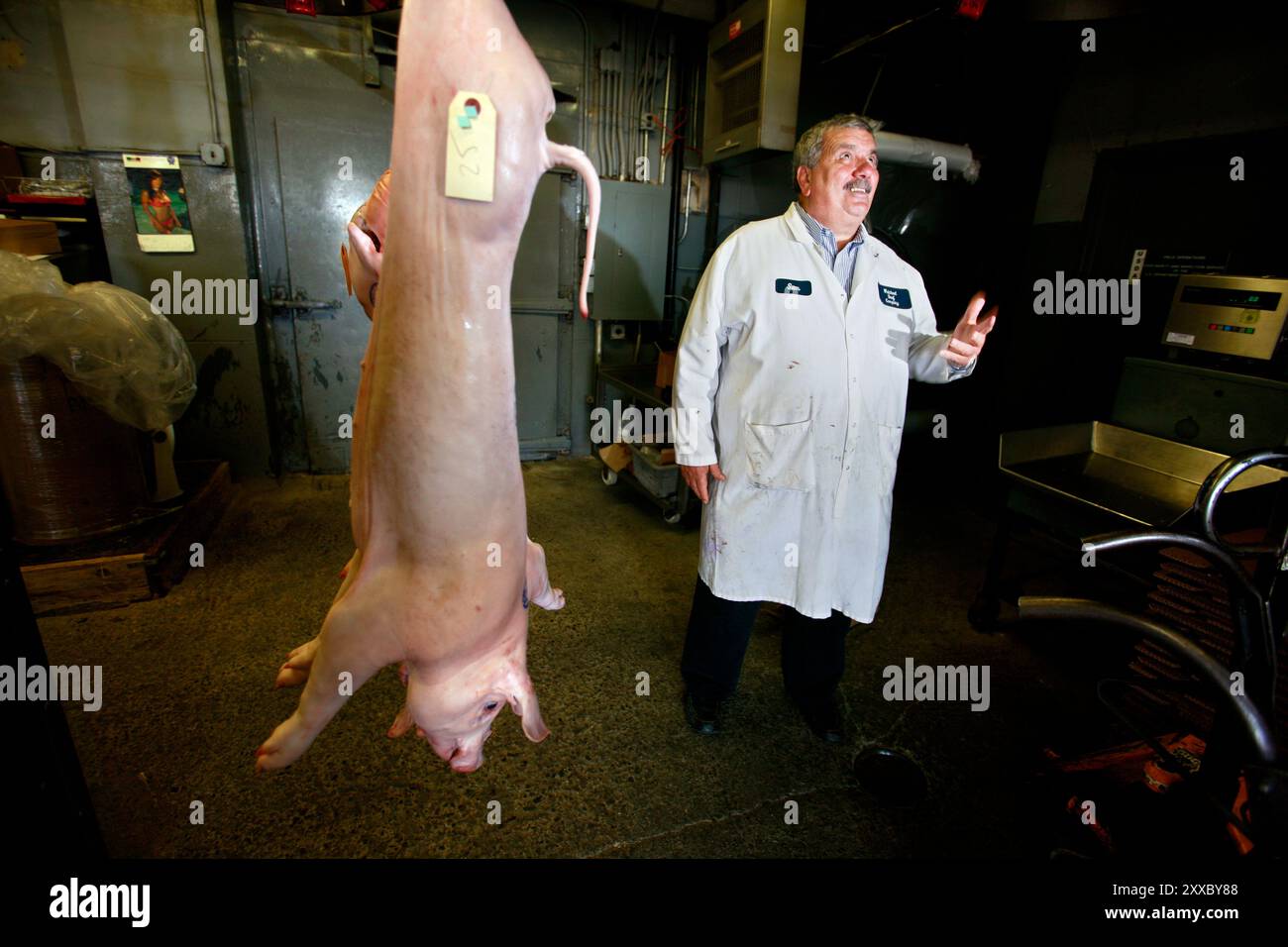 Weichsel Beef est en affaires depuis plus de 70 ans. Sam a commencé sa carrière en tant que boucher et travaille dans le secteur de l’emballage de la viande depuis 1957. Il ressent la baisse de la demande de viande de porc et soupçonne la grippe porcine de donner à sa viande un mauvais représentant. Banque D'Images