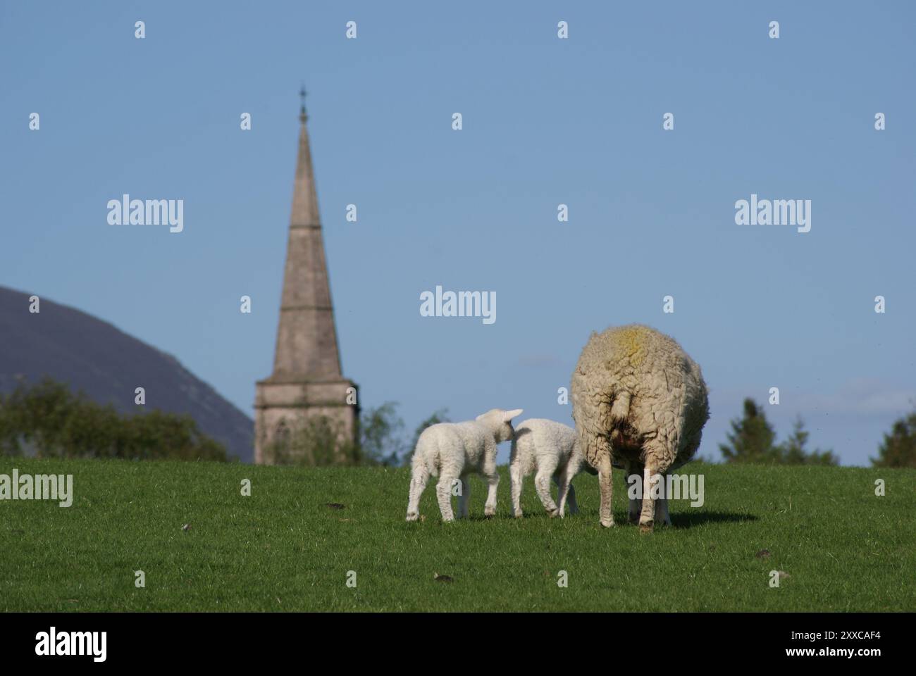 Derwent Water, Lake District, Cumbria, Angleterre Banque D'Images