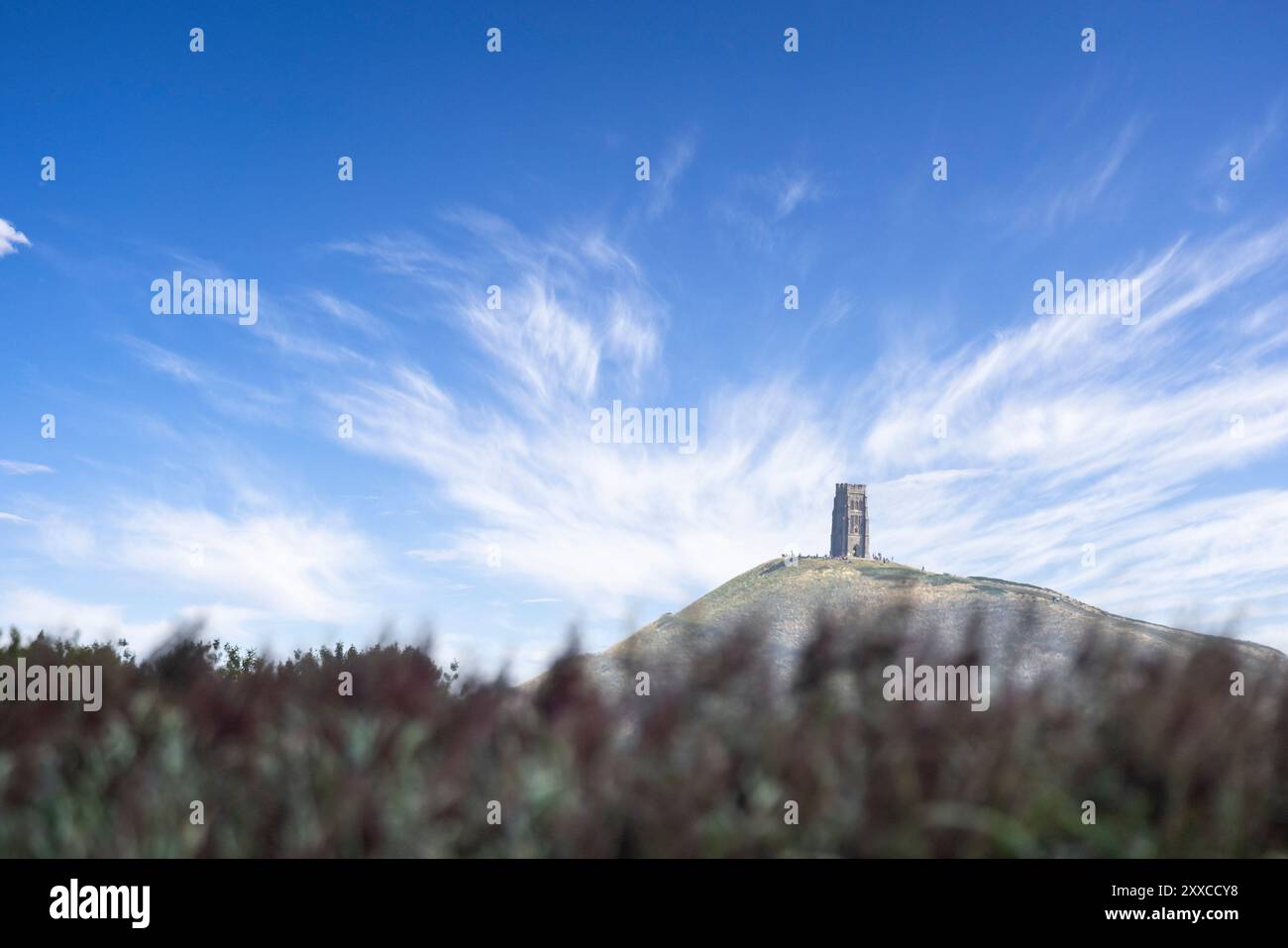Gros plan de Glastonbury Tor au sommet d'une colline vue du Somerset Levels, Ham Wall, Somerset, Royaume-Uni le 23 août 2024 Banque D'Images