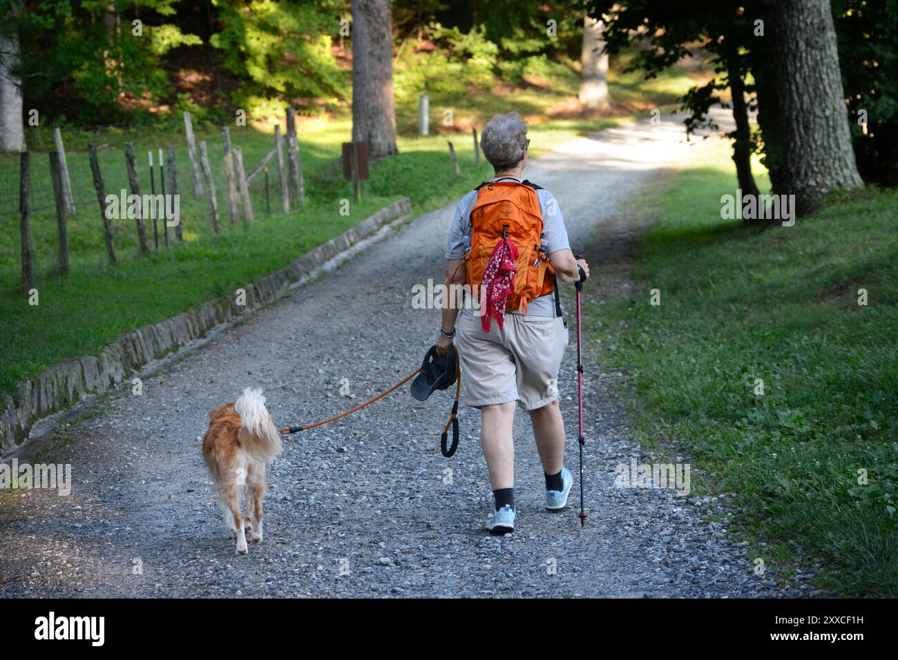 Un randonneur senior marche avec son chien le long d'une route menant à des sentiers de randonnée au Carl Sandburg Home National Historic site à Flat Rock, Caroline du Nord. Banque D'Images