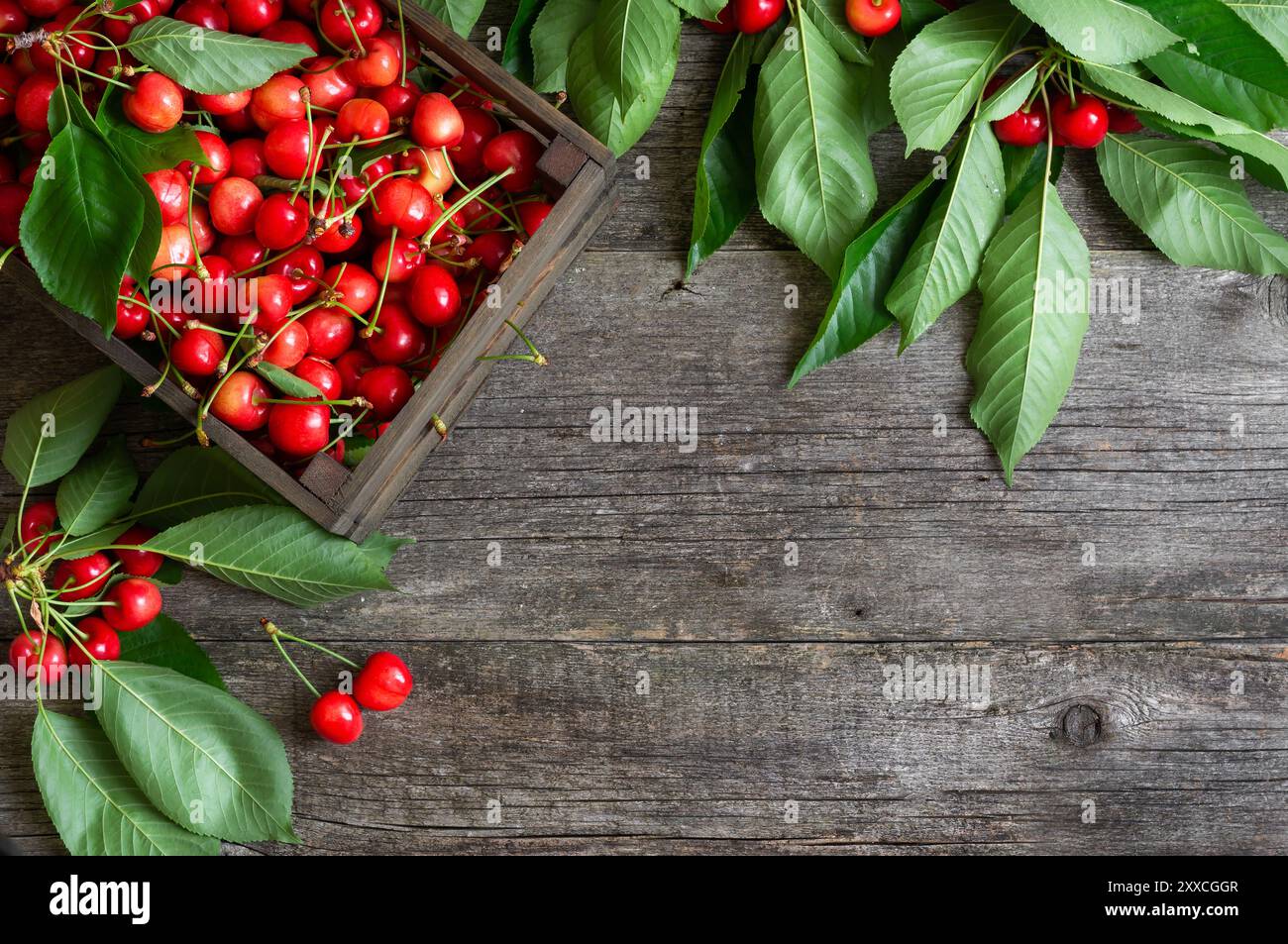 Gros plan cerises rouges mûres fraîches dans le panier sur fond en bois, tas de concept de fruits d'été Banque D'Images