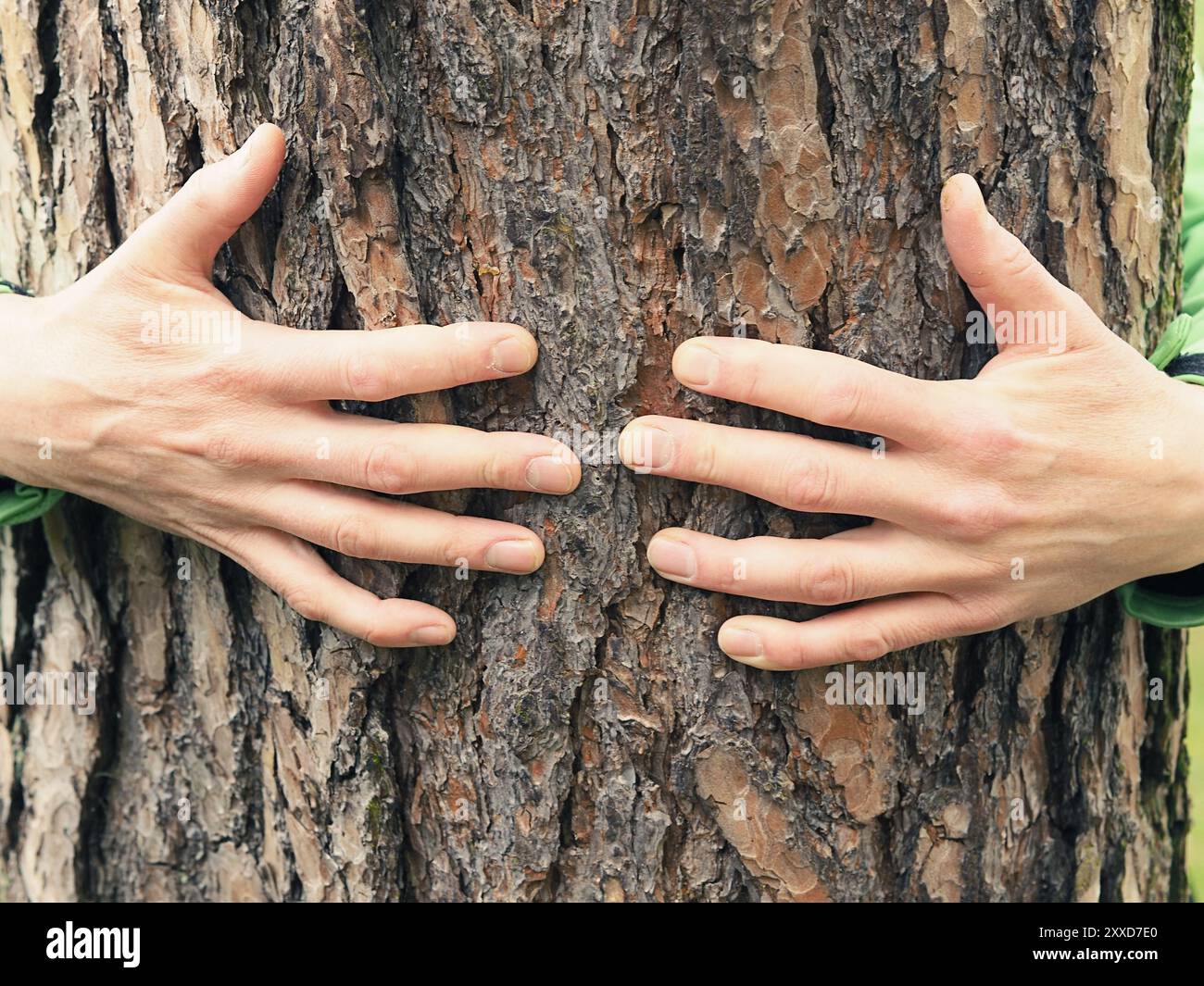 Jeune homme étreignant un grand arbre, de l'environnement ou la santé concept Care Banque D'Images