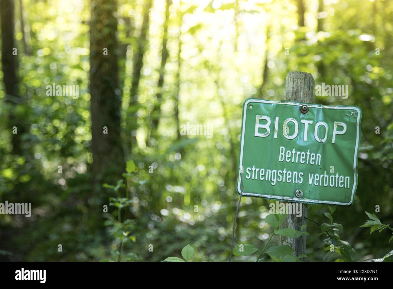 Réserve naturelle en Allemagne. Signez avec ?biotope. Strictement interdit d'entrer ? Banque D'Images