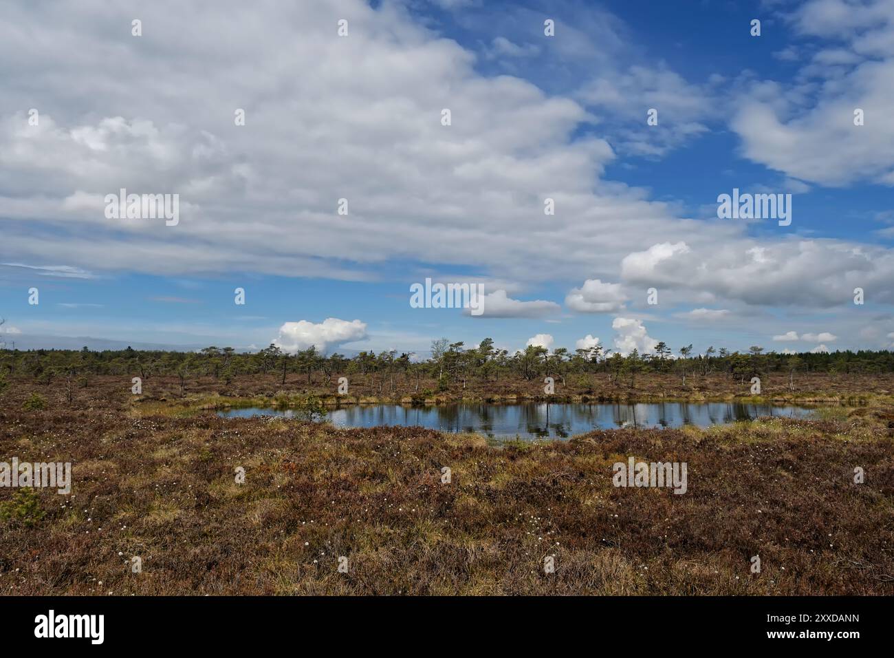 Amarre noire dans le Rhoen Banque D'Images