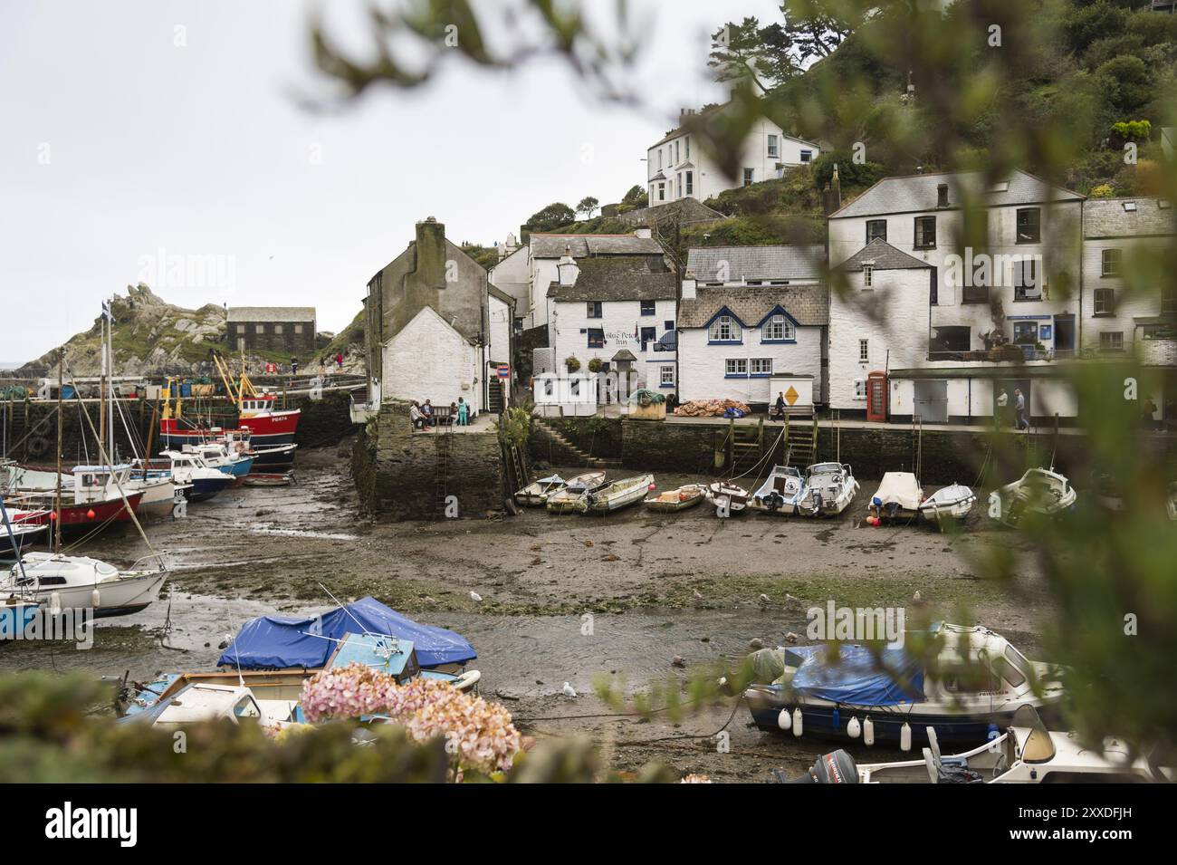 Marée basse dans le port de pêche de Polperro. Grande-Bretagne, Cornouailles, Polperro Banque D'Images