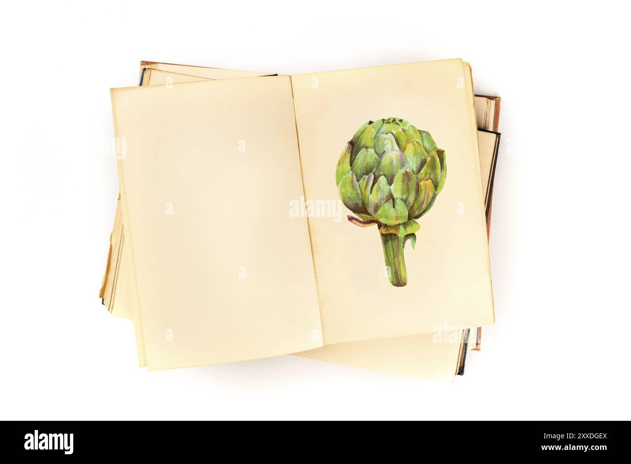 Ouvrir un vieux livre avec une illustration d'une copie d'artichaut et d'espace, un modèle de conception de recette, tourné à partir de ci-dessus, sur un fond blanc Banque D'Images