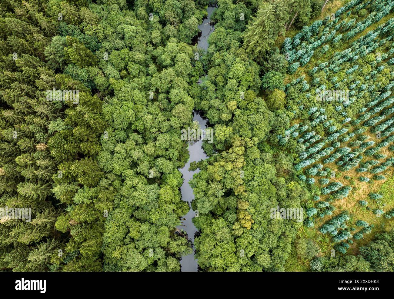 Vue aérienne sur une ferme forestière le long de la rivière Alling près de Silkeborg, Danemark Banque D'Images