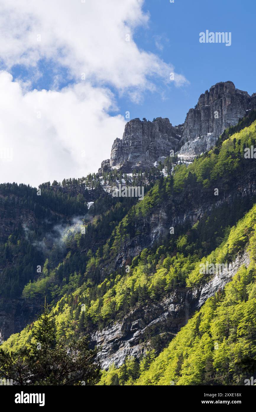 Une vue imprenable sur les falaises escarpées du parc national Ordesa y Monte Perdido, avec des forêts verdoyantes et denses. Pyrénées aragonaises avec un tou Banque D'Images