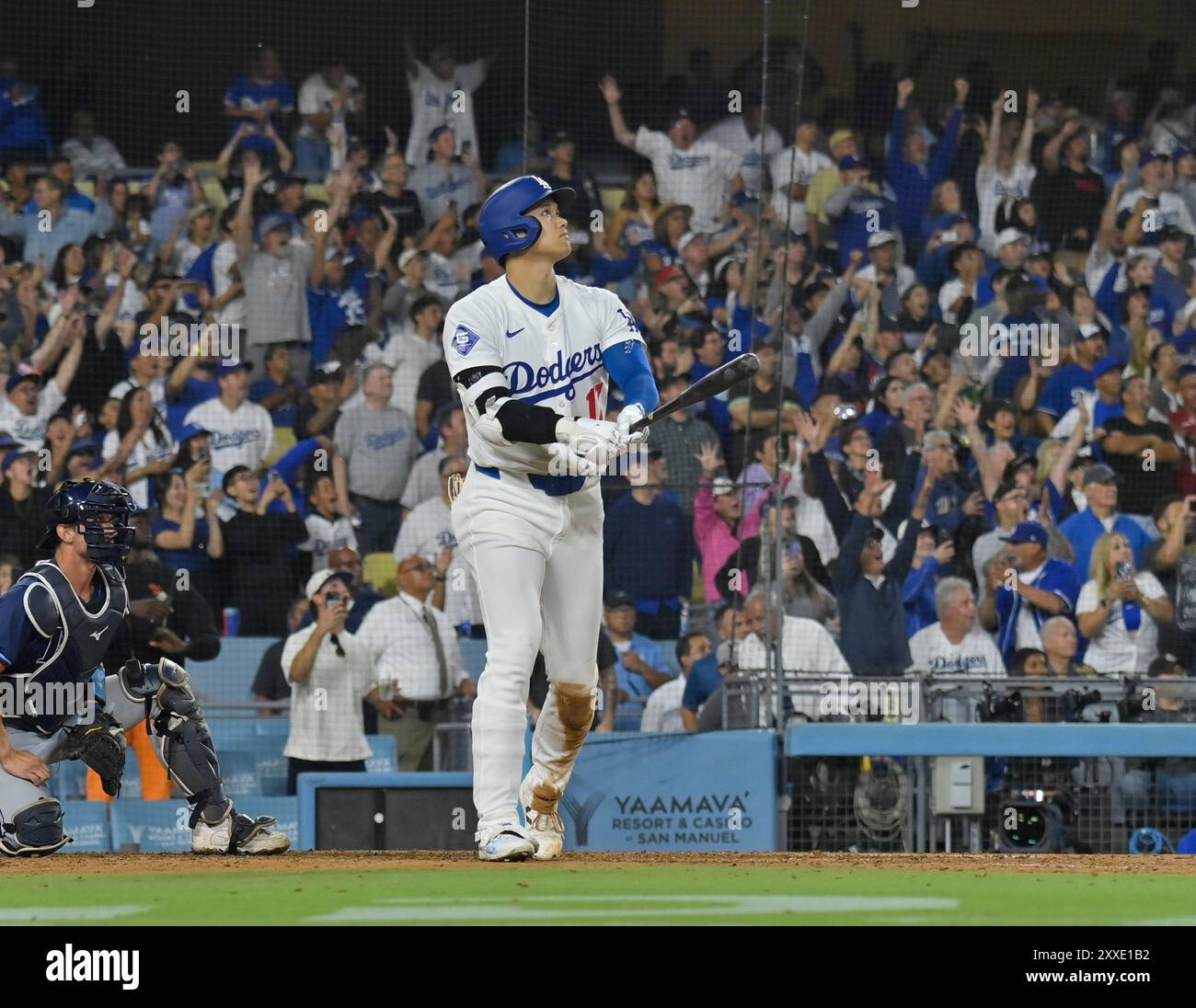 Los Angeles, États-Unis. 23 août 2024. Los Angeles Dodgers DH Shohei Ohtani frappe un grand chelem lors d'une victoire 7-3 contre les Rays de Tampa Bay au Dodger Stadium de Los Angeles le vendredi 23 août 2024. Ohtani est devenu le sixième joueur dans l'histoire de la ligue majeure à avoir un home run de 40, 40 volés de base, et le premier à éclipser les deux seuils avant le début du mois de septembre. Une saison 40-40 a longtemps été l'un des exploits statistiques les plus exclusifs du baseball. Photo de Jim Ruymen/UPI crédit : UPI/Alamy Live News Banque D'Images