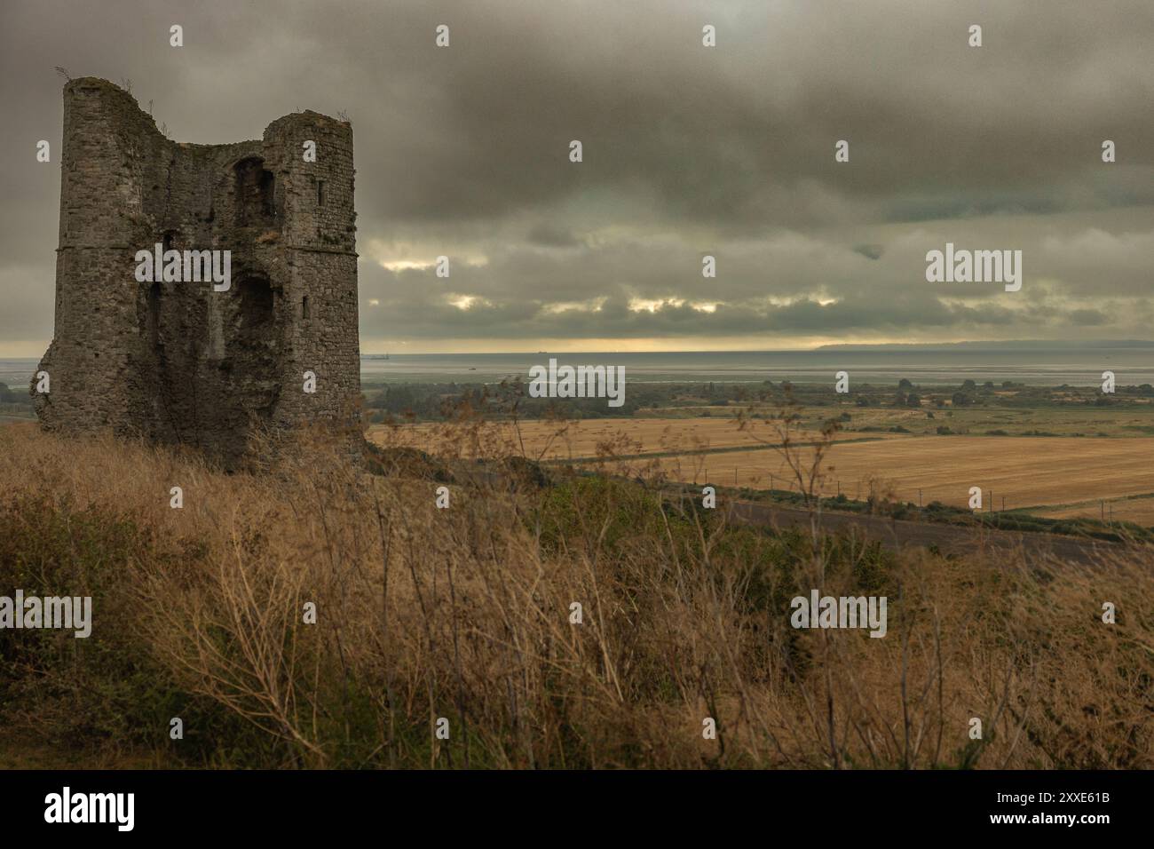 Hadleigh Castle, Royaume-Uni. 24 août 2024. Commencez votre week-end de vacances au château de Hadleigh, surplombant l'estuaire de la Tamise. Penelope Barritt/Alamy Live News Banque D'Images