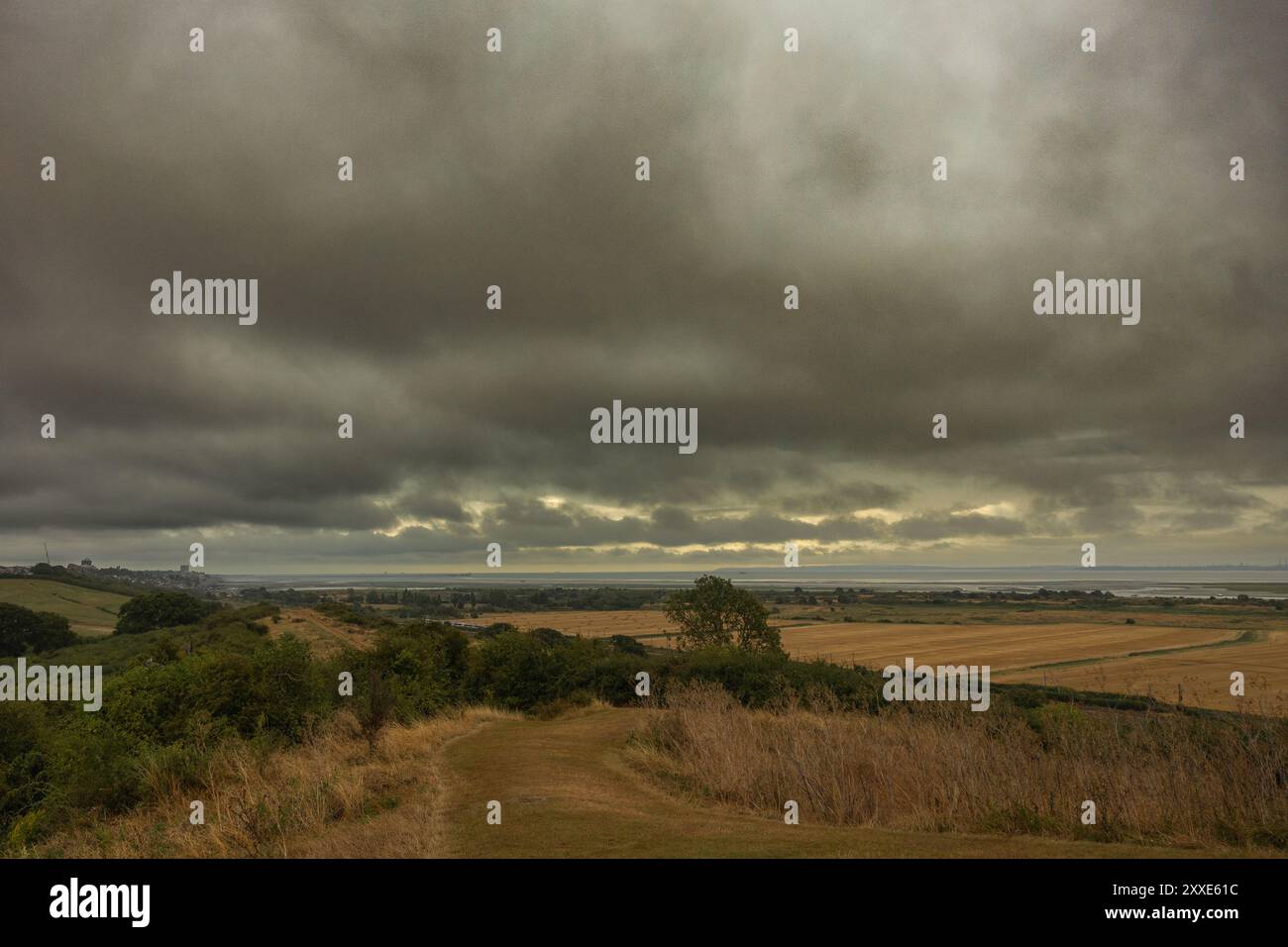 Hadleigh Castle, Royaume-Uni. 24 août 2024. Commencez votre week-end de vacances au château de Hadleigh, surplombant l'estuaire de la Tamise. Penelope Barritt/Alamy Live News Banque D'Images