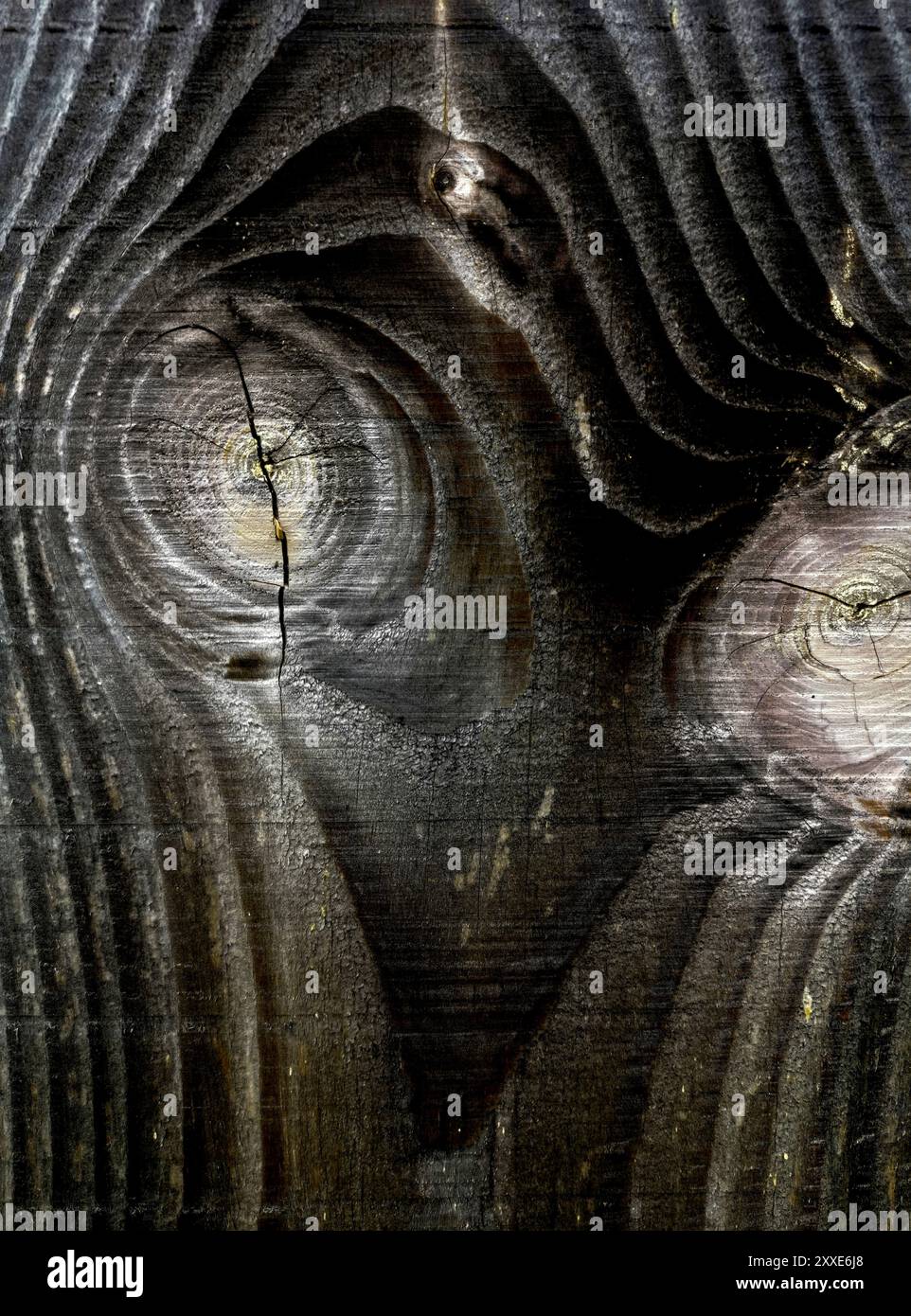 Vue rapprochée d'une surface en bois vieilli présentant des textures et des motifs naturels sous un éclairage doux Banque D'Images