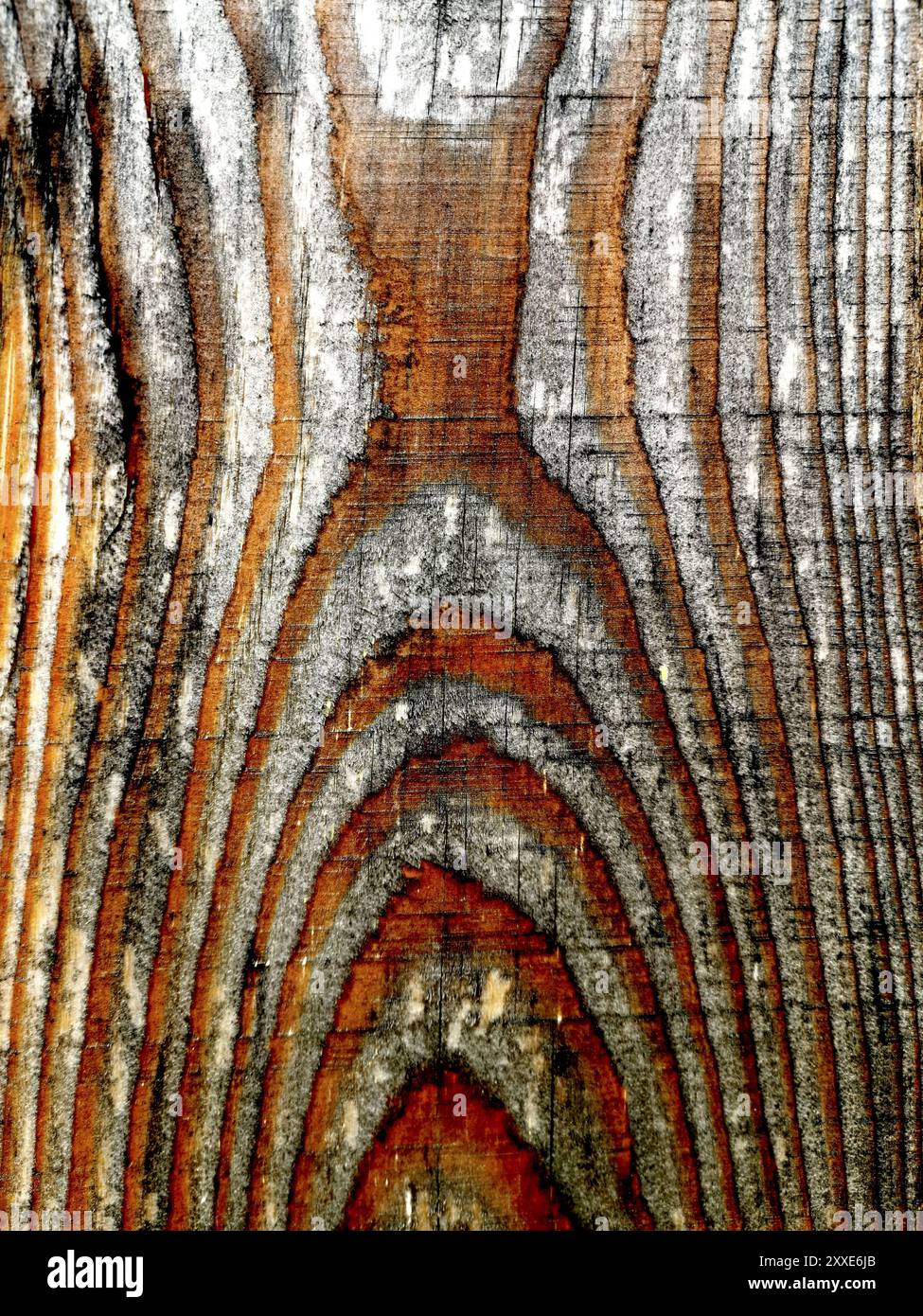 Vue rapprochée d'une surface en bois vieilli présentant des textures et des motifs naturels sous un éclairage doux Banque D'Images