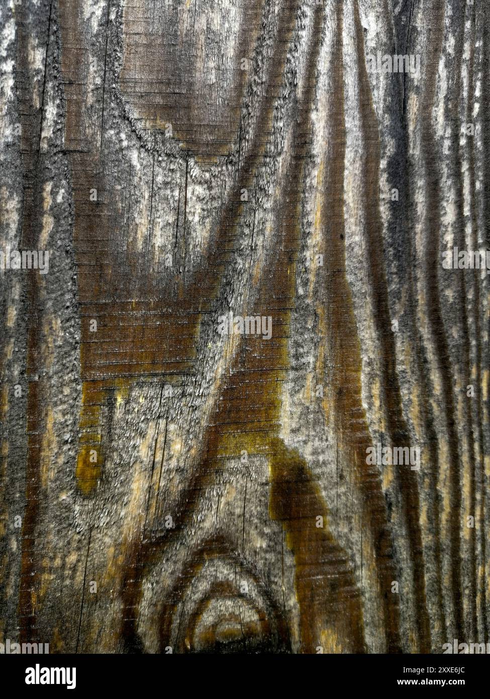 Vue rapprochée d'une surface en bois vieilli présentant des textures et des motifs naturels sous un éclairage doux Banque D'Images