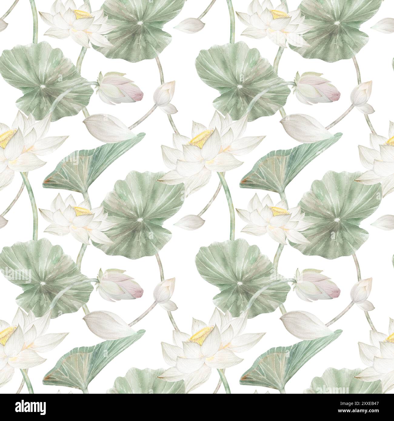 Modèle sans couture avec des fleurs d'aquarelle lotus lotus, bourgeons et feuilles. Illustration aquarelle, lotus dessinés à la main pour la conception. Banque D'Images