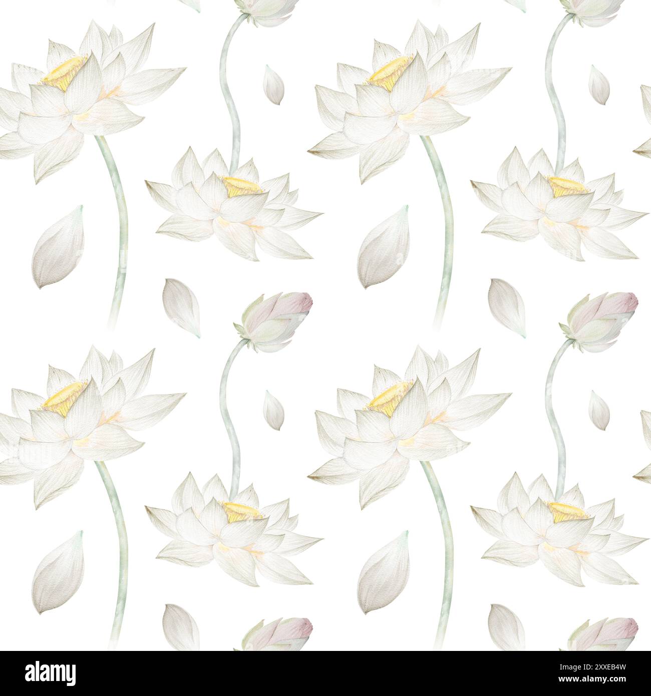 Modèle sans couture avec des fleurs d'aquarelle lotus lotus, bourgeons et feuilles. Illustration aquarelle, lotus dessinés à la main pour la conception. Banque D'Images