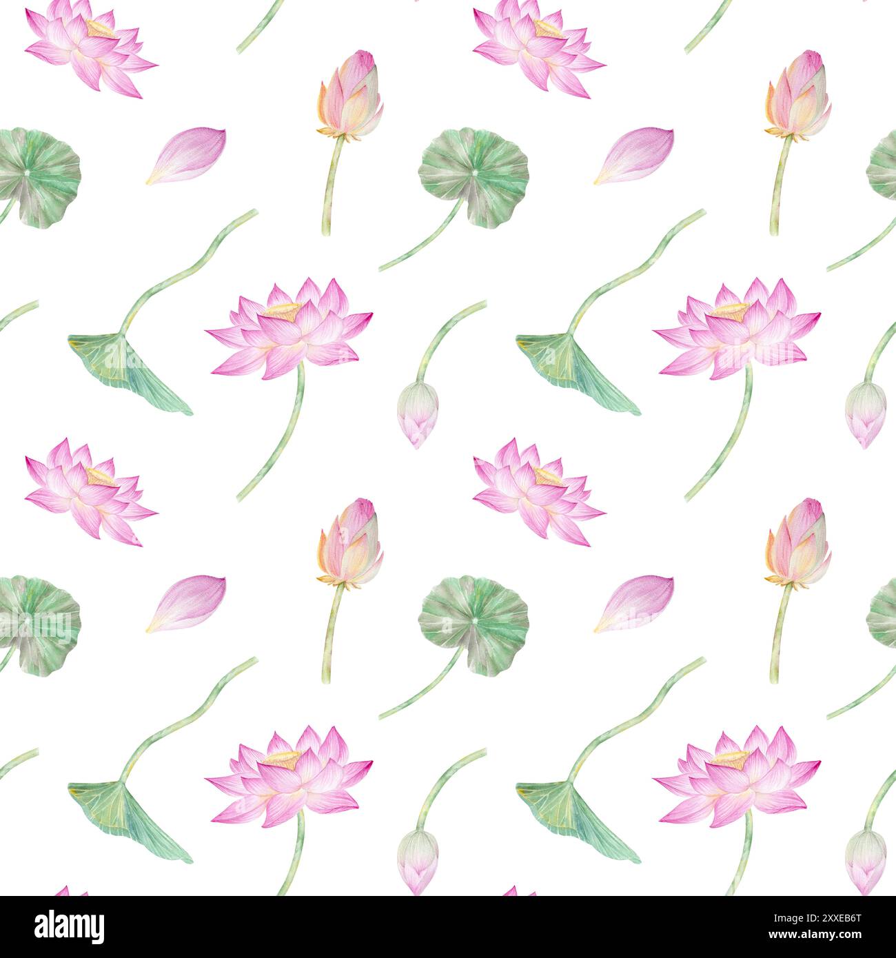 Modèle sans couture avec des fleurs d'aquarelle lotus lotus, bourgeons et feuilles. Illustration aquarelle, lotus dessinés à la main pour la conception. Banque D'Images