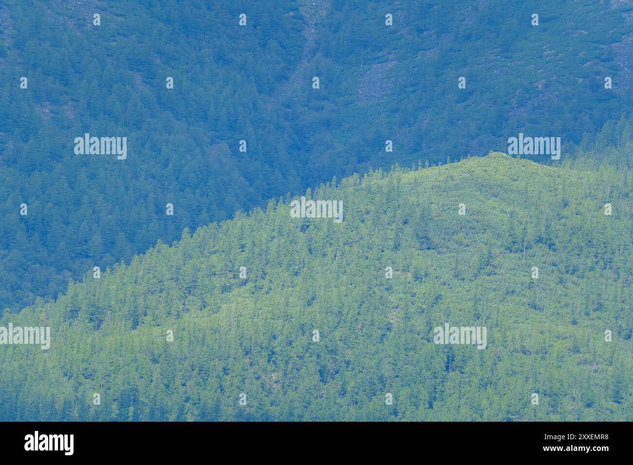 Une vue sur les montagnes verdoyantes et boisées qui s'étendent au loin, avec des couches de sommets partiellement enveloppés de nuages, créant un paysage tranquille et scen Banque D'Images