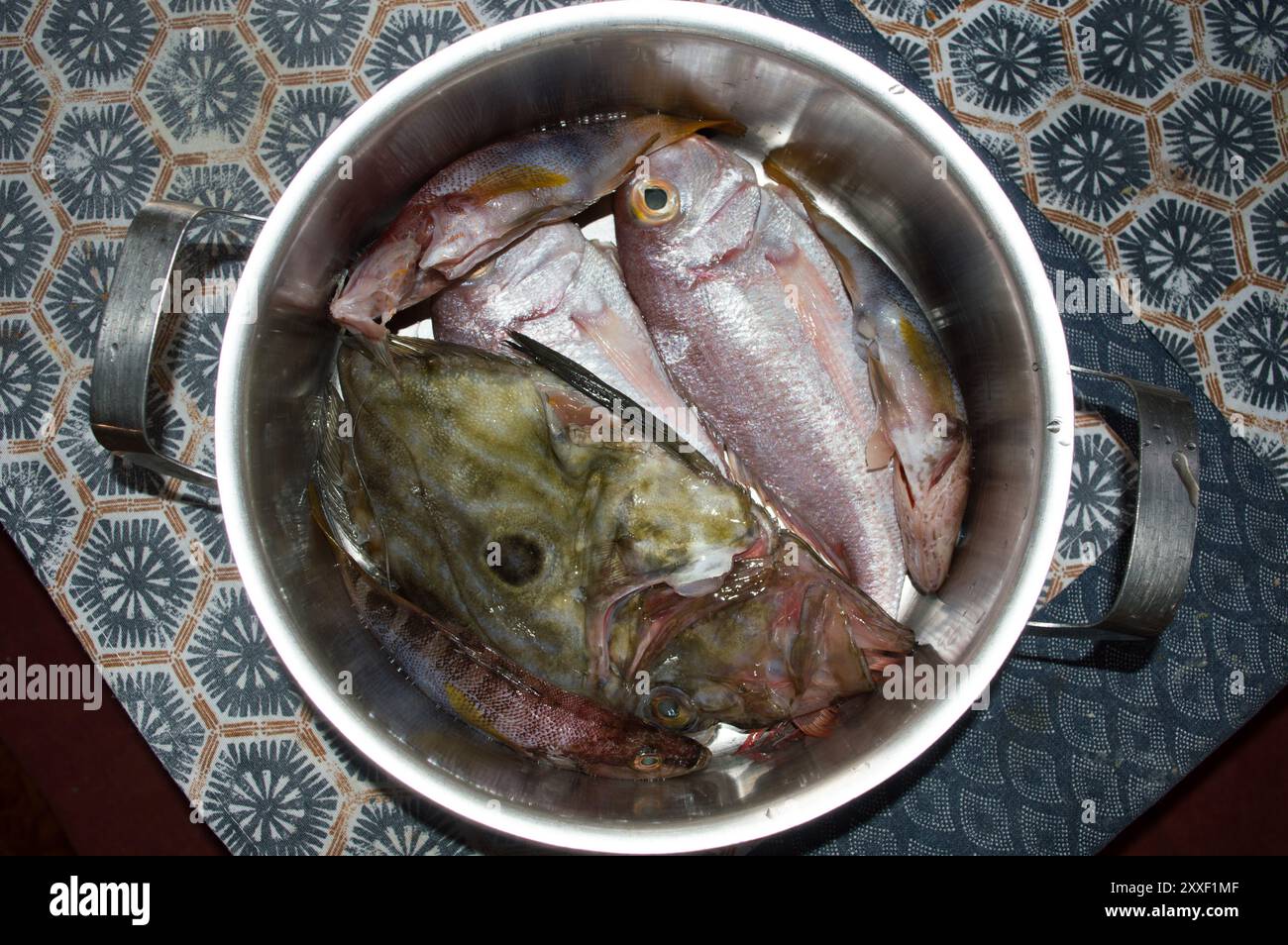 Poisson frais de la mer Adriatique dans une casserole, préparation pour la cuisson, cuisine dalmate, John Dory, pandora commune et poisson comber peint Banque D'Images