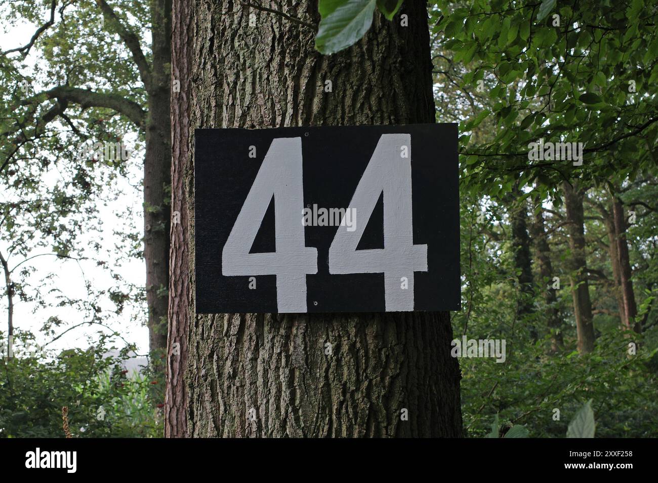 Bouclier géant de numéro de maison attaché à un tronc d'arbre. C'est le numéro 44. Banque D'Images
