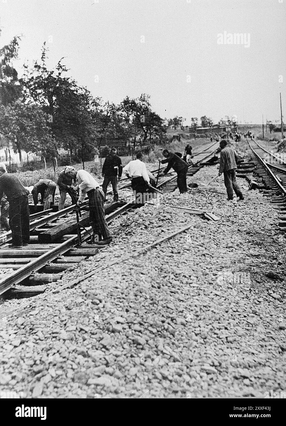 Prisonniers de travail forcé du camp de concentration de Buchenwald construisant la ligne de chemin de fer Weimar-Buchenwald. Buchenwald et ses 139 sous-camps étaient des camps de travaux forcés et non des camps de la mort et il n'y avait pas de chambres à gaz. Cependant, les mauvaises conditions, les abus et les exécutions ont entraîné la mort de 56500 personnes dans ce pays. Il a été libéré par l'armée américaine le 11 avril 1945. La photo est datée du 16 avril 1945, cinq jours après la libération du camp par l'armée américaine. Banque D'Images