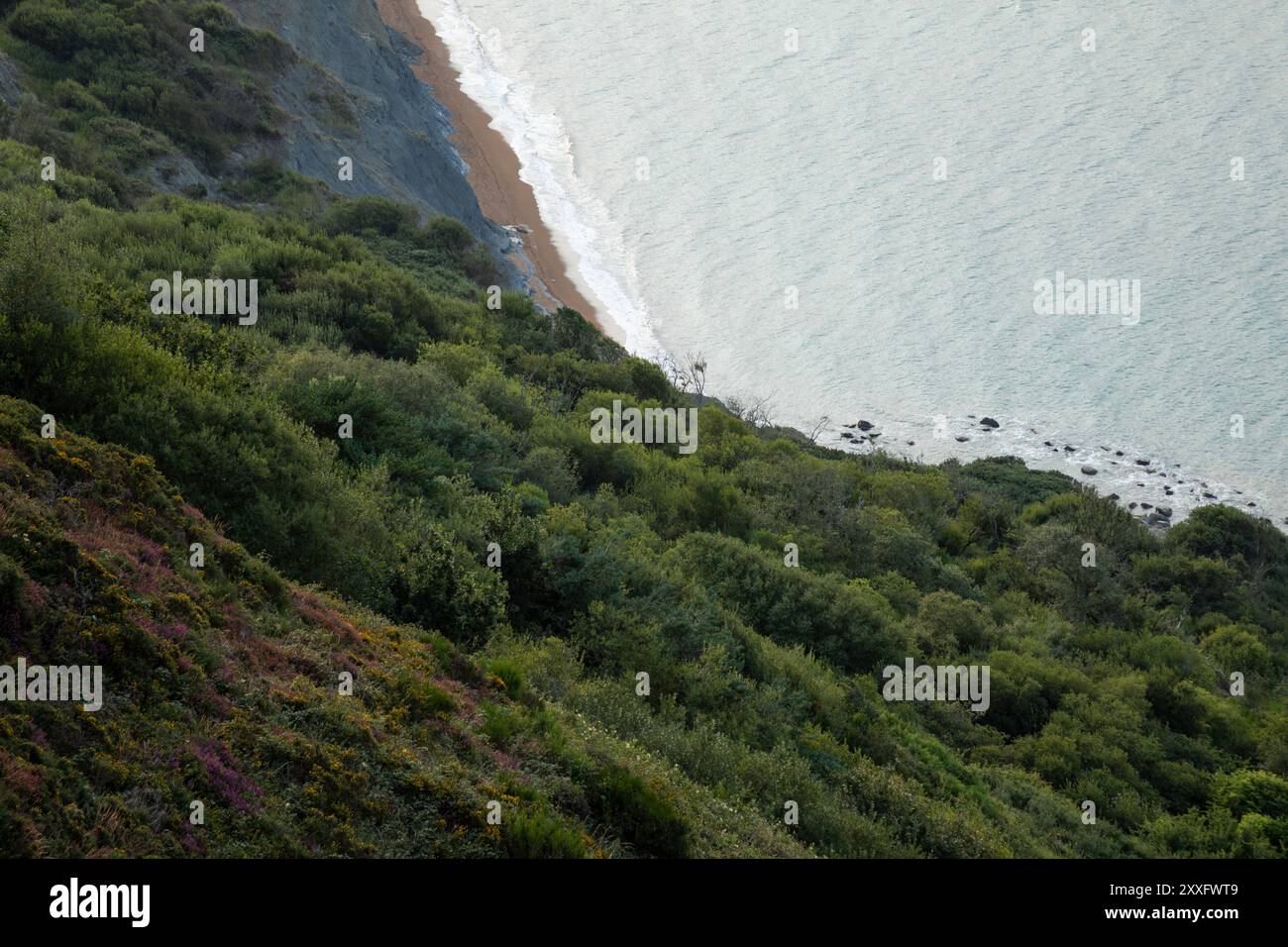 Vue sur la côte jurassique depuis Golden Cap au lever du soleil. Dorset, Royaume-Uni. Banque D'Images