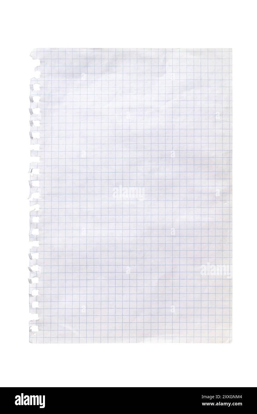 Feuille déchirée de papier à carreaux blanc isolé sur un fond blanc présentant des lignes de grille parfaites pour les notes, les dessins et les calculs mathématiques. Banque D'Images