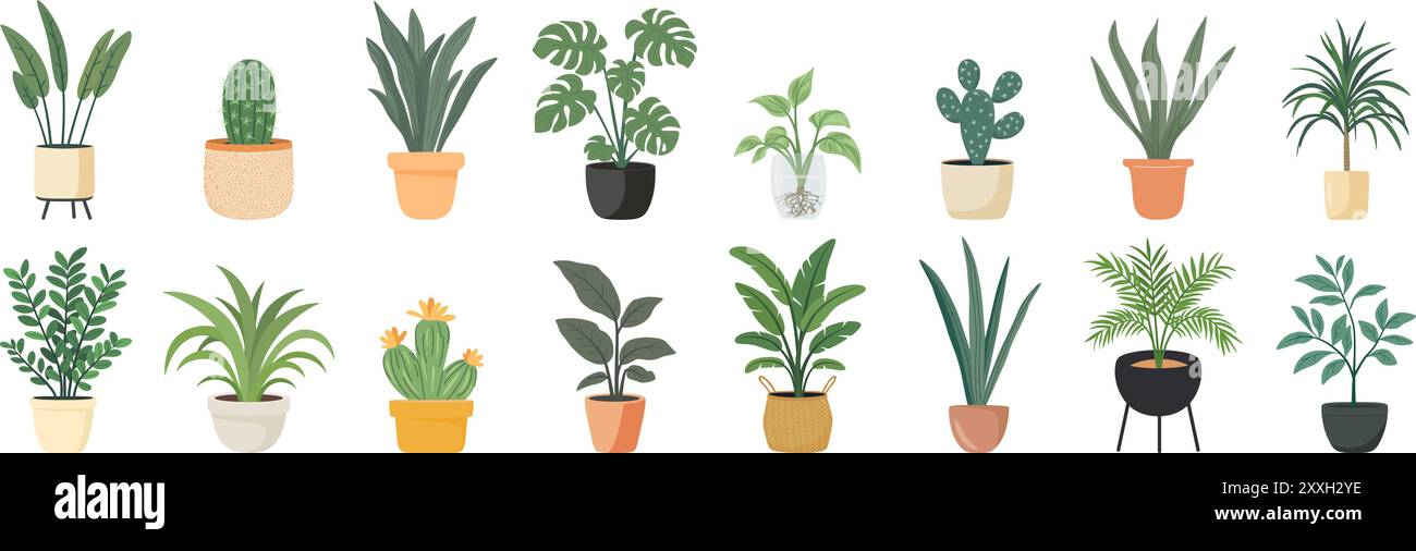 Plantes d'intérieur mignonnes, ensemble de vecteur plat. Plantes de maison en pots en céramique, tasses, jardinières de panier. Collection décorative de plantes d'intérieur isolé sur blanc Illustration de Vecteur