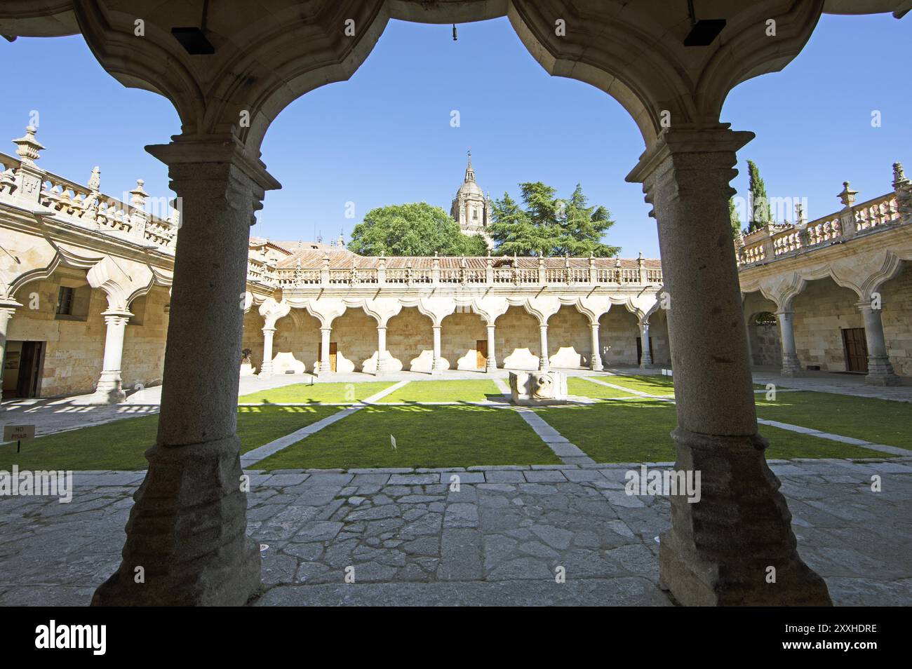 Patio du Colegio Fonseca, Université de Salamanque, province de Salamanque, Castille-et-Léon, Espagne, Europe Banque D'Images