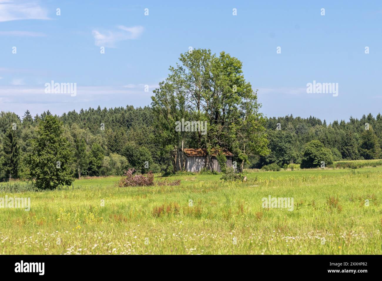 L'Allemagne, de l'Europe Banque D'Images