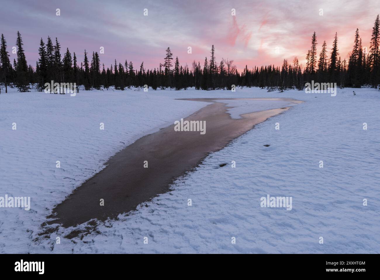 Soirée Mood, Parc national de Muddus, site du patrimoine mondial de Laponie, Norrbotten, Laponie, Suède, avril 2015, Europe Banque D'Images