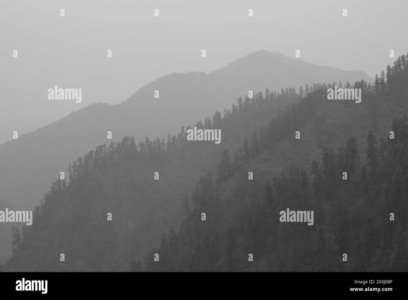 Collines couvertes de forêt par un jour de printemps brumeux Banque D'Images