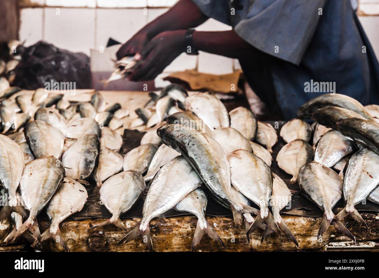 Les poissons exposés au marché au poisson de Stone Town Zanzibar pendant que vous pouvez voir les mains du vendeur de poisson à l'arrière-plan Banque D'Images