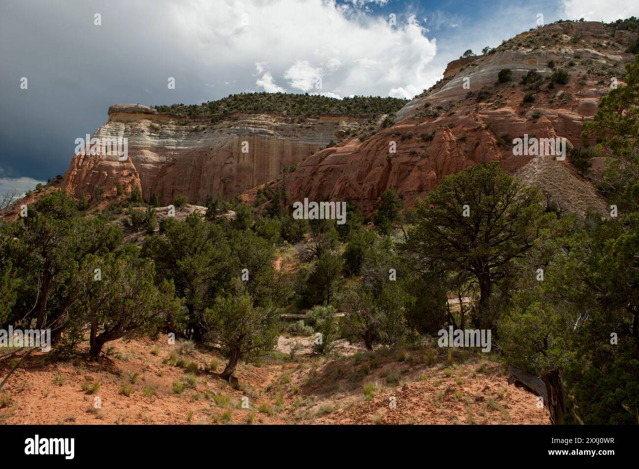 Le mur gauche de l'amphithéâtre Echo, près d'Abiquiu, Nouveau-Mexique, est principalement en grès d'Entrada Banque D'Images