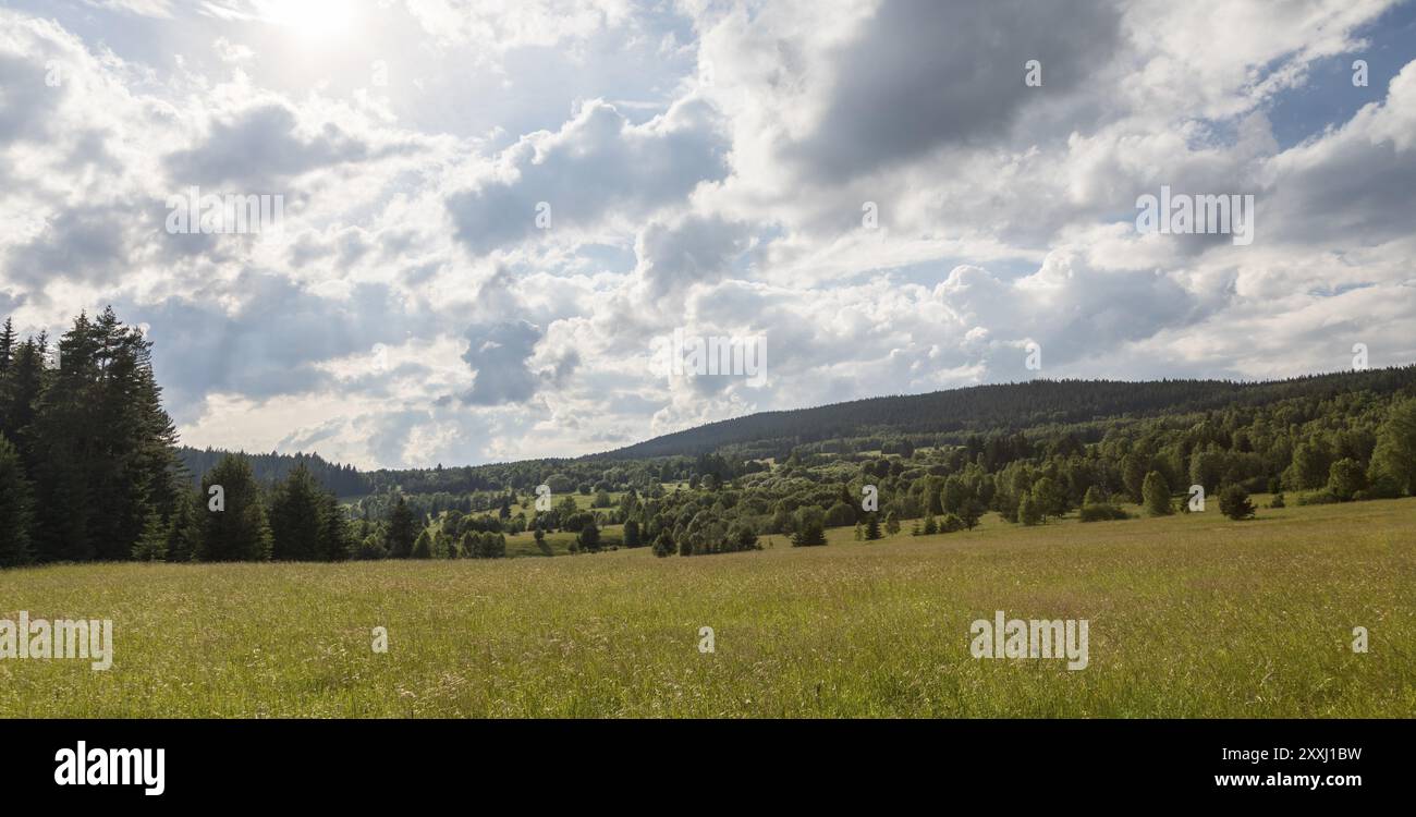 Paysage dans la forêt de Bohême Banque D'Images