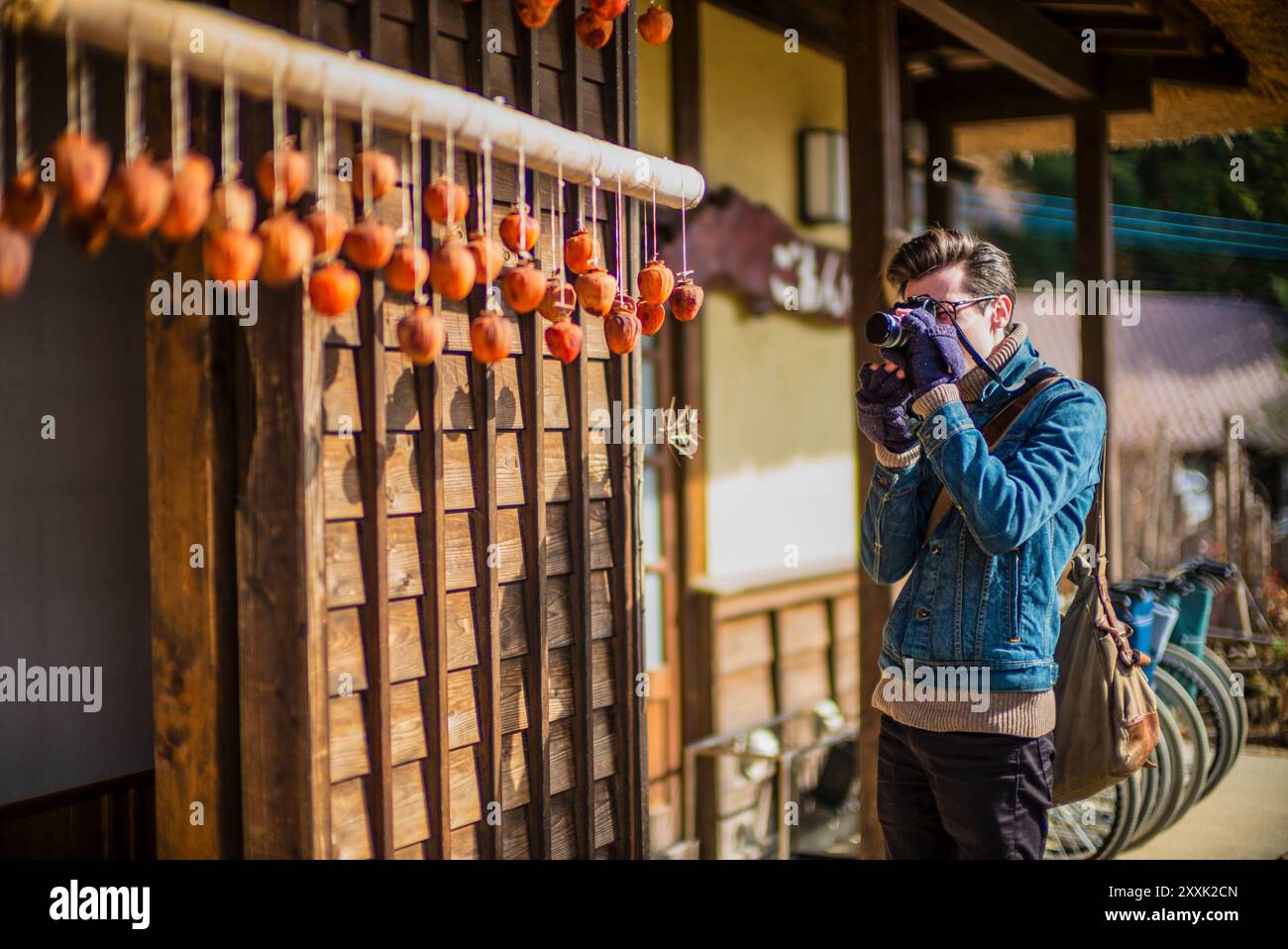 Jeune homme photographiant le kaki Persimmon , Diospyros kaki, vu ici sécher dans l'air automnal près du lac Kawaguchi, Japon. Banque D'Images
