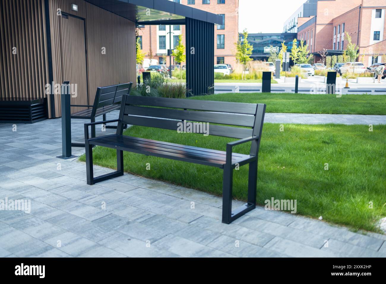 Vue en perspective du chemin pavé avec pelouse verte, herbe décorative et bancs en bois modernes devant des bacs de gabion en fil de fer et remplis de Banque D'Images