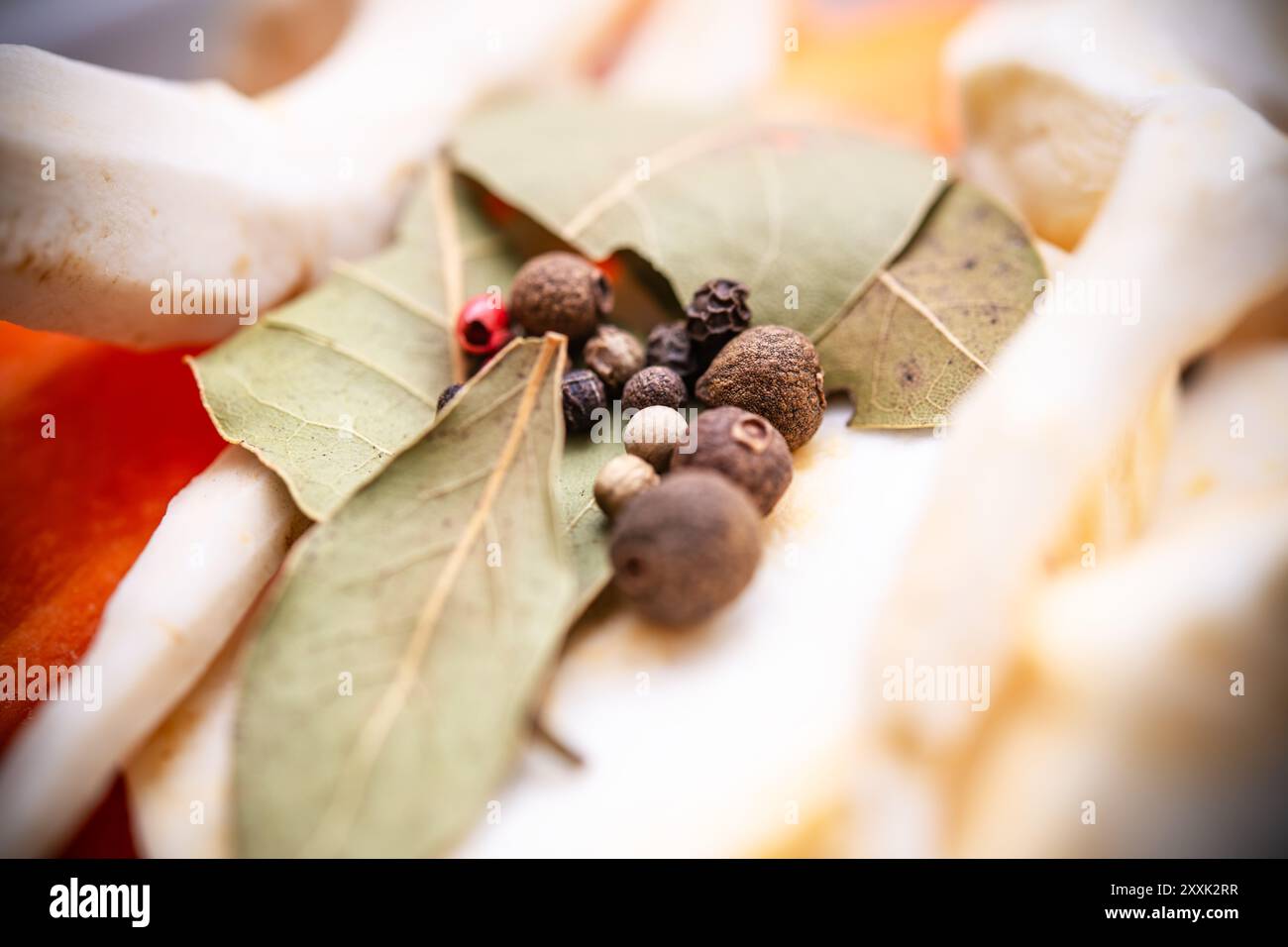 Assortiment coloré de feuilles de laurier, de grains de poivre mélangés et de tranches de légumes frais disposés de manière créative, mettant en valeur une palette vibrante pour cuisiner enthusi Banque D'Images Assortiment coloré de feuilles de laurier, de grains de poivre mélangés et de tranches de légumes frais disposés de manière créative, mettant en valeur une palette vibrante pour cuisiner enthusi Banque D'Images