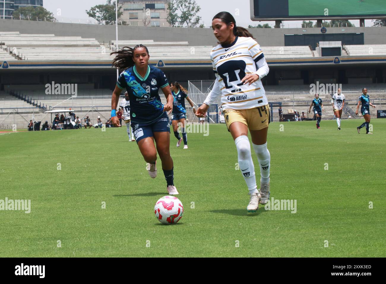 Mexico, Mexique. 24 août 2024. Yaneisy Rodríguez #19 de Pumas UNAM conduit la balle en avant lors du match de 7e tour entre Pumas UNAM et Club Puebla dans le cadre de la Liga MX féminine Torneo Apertura 2024 à l'Estadio Olímpico Universitario. Score final Pumas 2 -1 Puebla. Le 23 août 2024 à Mexico, Mexique. (Photo de Jose Luis Torales/ crédit : Eyepix Group/Alamy Live News Banque D'Images