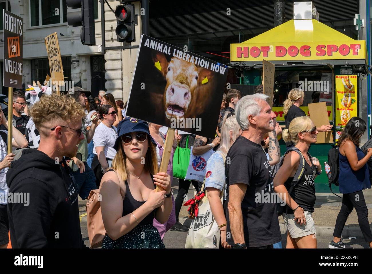 Manifestants lors de la marche nationale pour les droits des animaux. Piccadilly Circus, Londres, Royaume-Uni. 17 août 2024 Banque D'Images