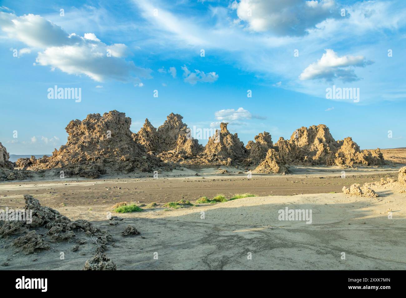 Cheminées anciennes formations rocheuses minérales sur le fond séché du lac salé Abbé, région de Dikhil, Djibouti Banque D'Images