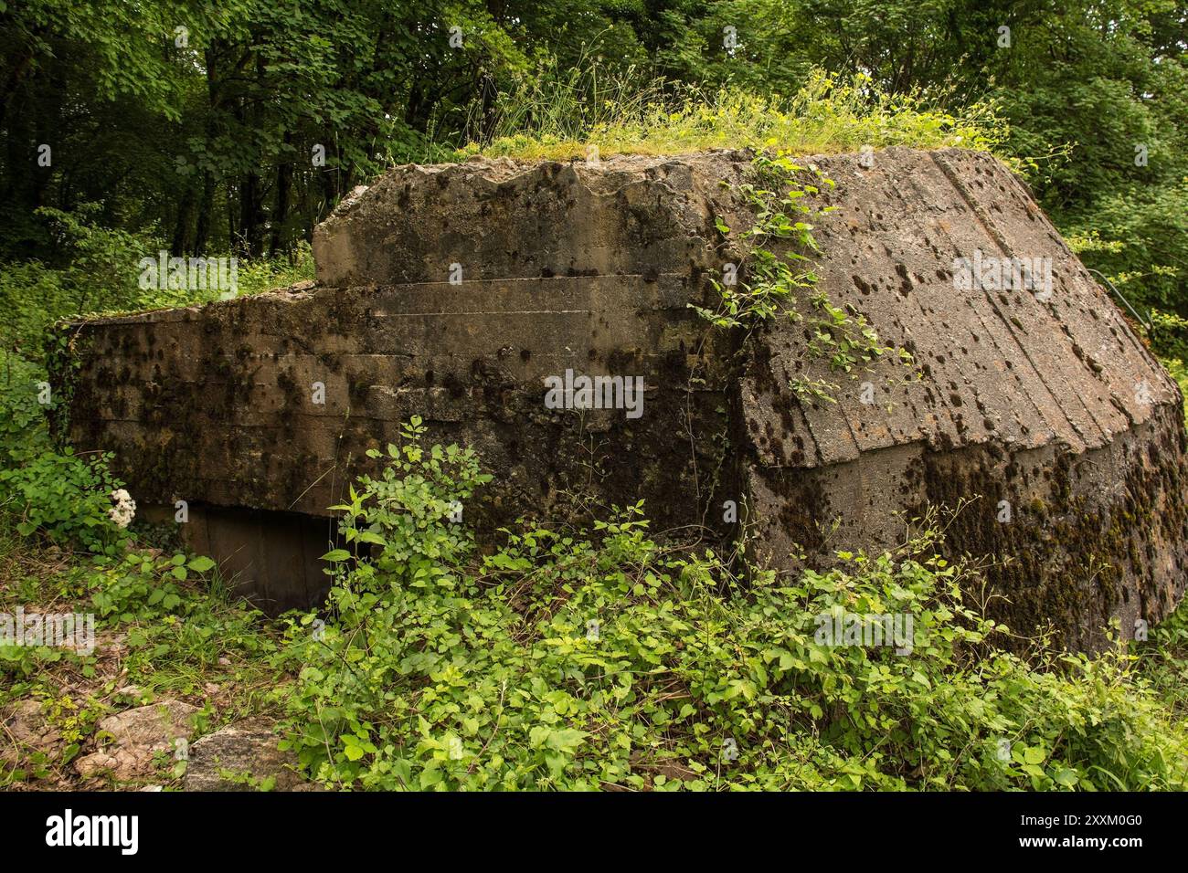 Un bunker abandonné dans la forêt du mont Dajti près de Tirana en Albanie centrale. Une relique de la bunkérisation du gouvernement Hoxha des années 1960-1980 Banque D'Images