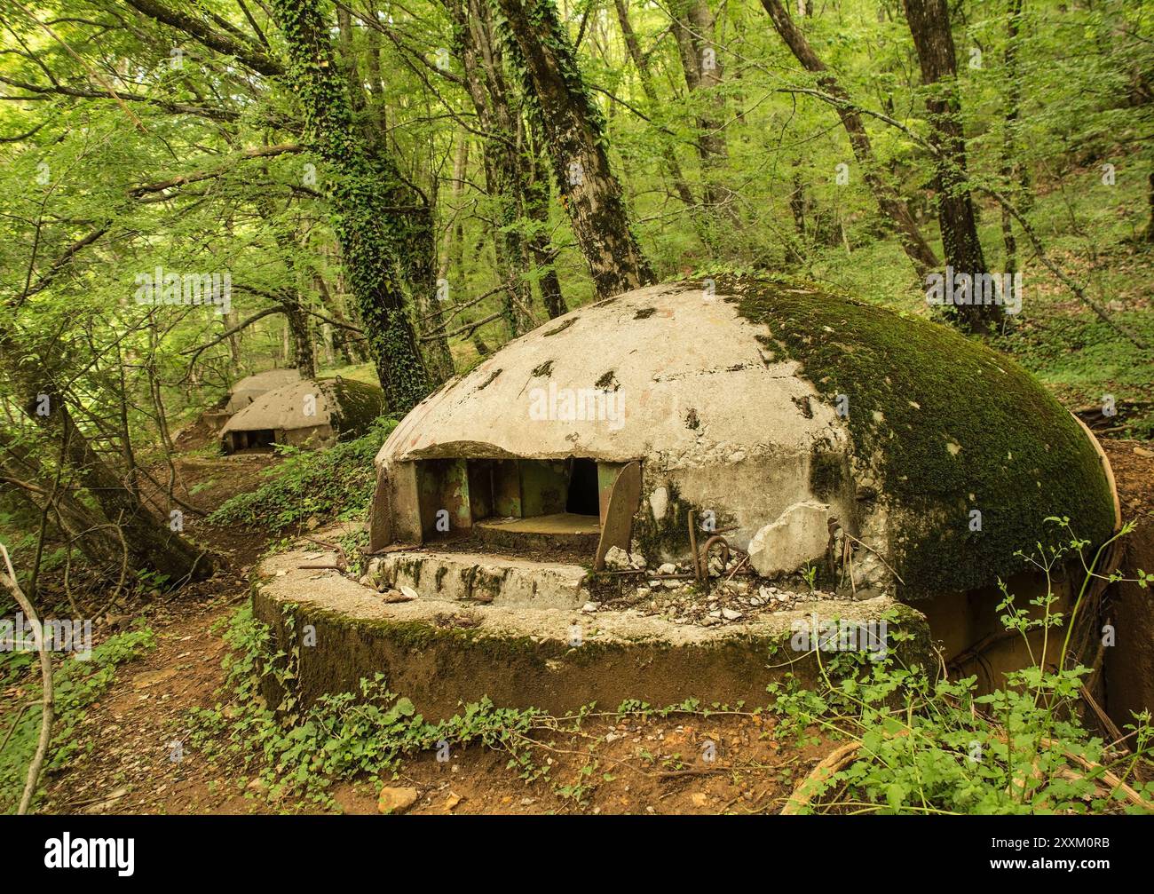 Bunkers abandonnés dans la forêt du mont Dajti près de Tirana en Albanie centrale. Une relique de la bunkérisation du gouvernement Hoxha des années 1960-1980 Banque D'Images