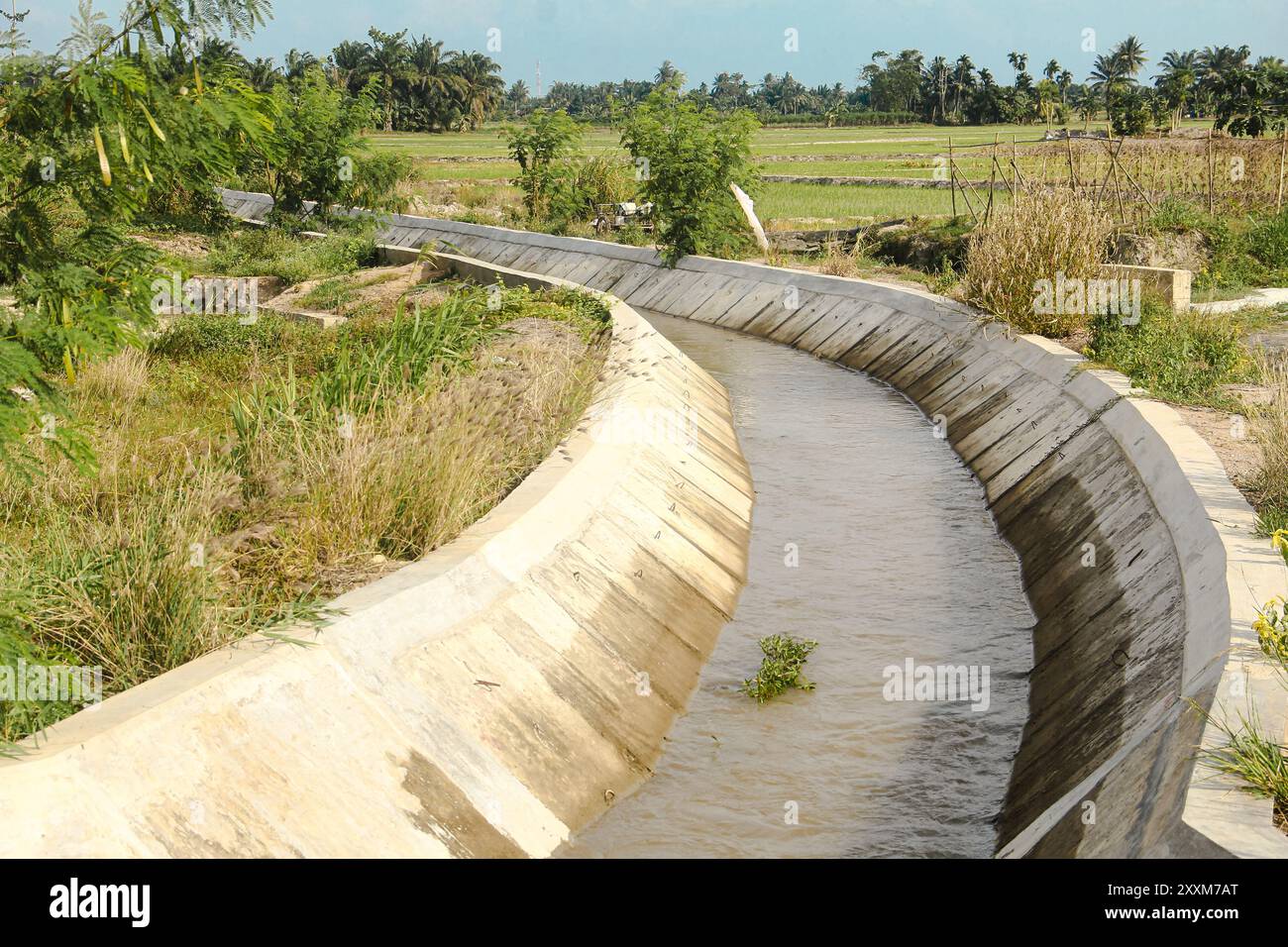 Canaux d'irrigation qui irriguent les rizières dans les zones rurales Banque D'Images