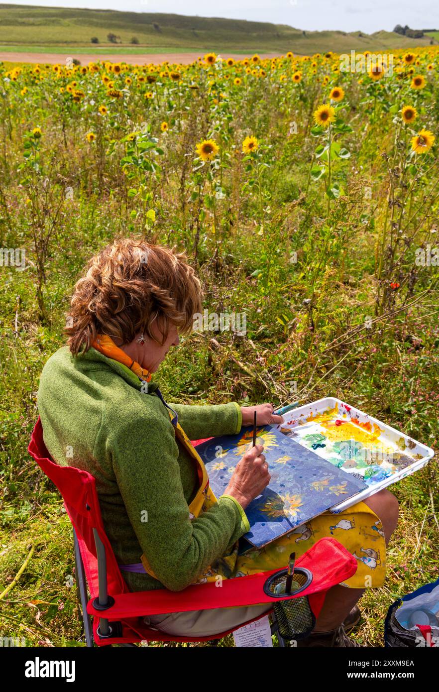 Maiden Castle Farm, Dorchester, Dorset Royaume-Uni. 25 août 2024. 130 artistes affluent à Maiden Castle Farm, près de Dorchester dans le Dorset, pour suivre les coups de pinceau de Van Gogh, capturant leur propre interprétation des tournesols. Une journée sèche avec des intervalles ensoleillés, mais très venteux car les tournesols balancent dans le vent. (Permission reçue de Maiden Castle Farm). Crédit : Carolyn Jenkins/Alamy Live News Banque D'Images