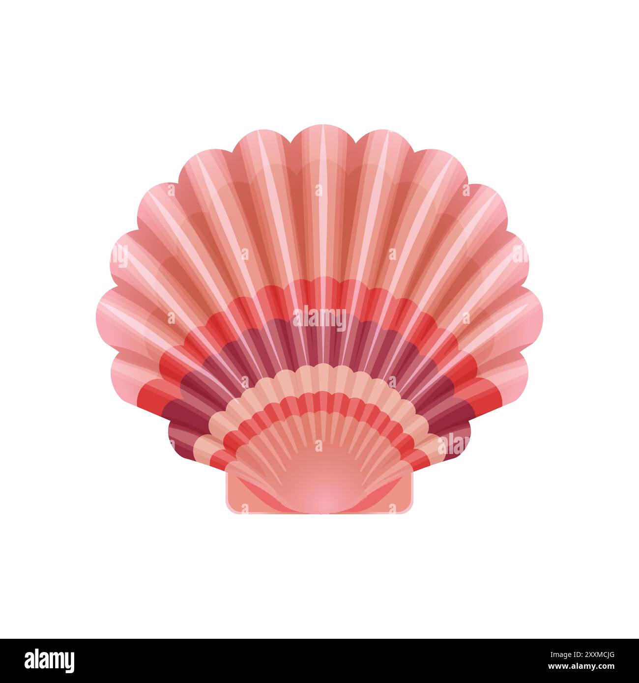 Illustration vectorielle détaillée d'un coquillage rose en forme d'éventail avec un design en couches. Illustration de Vecteur