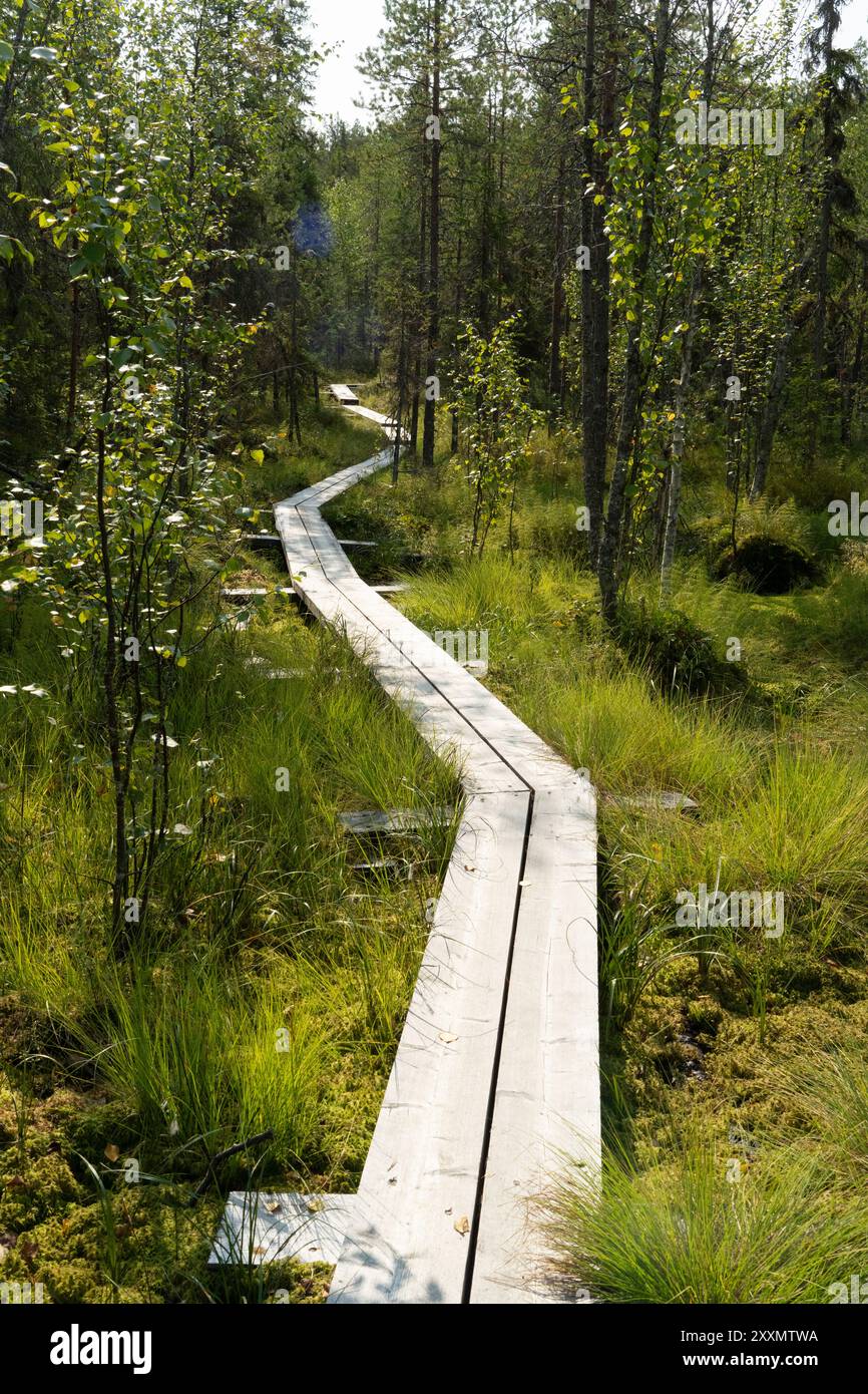 Vikaköngäs, Arctic Circle Hiking Area, laponie, Finlande Banque D'Images