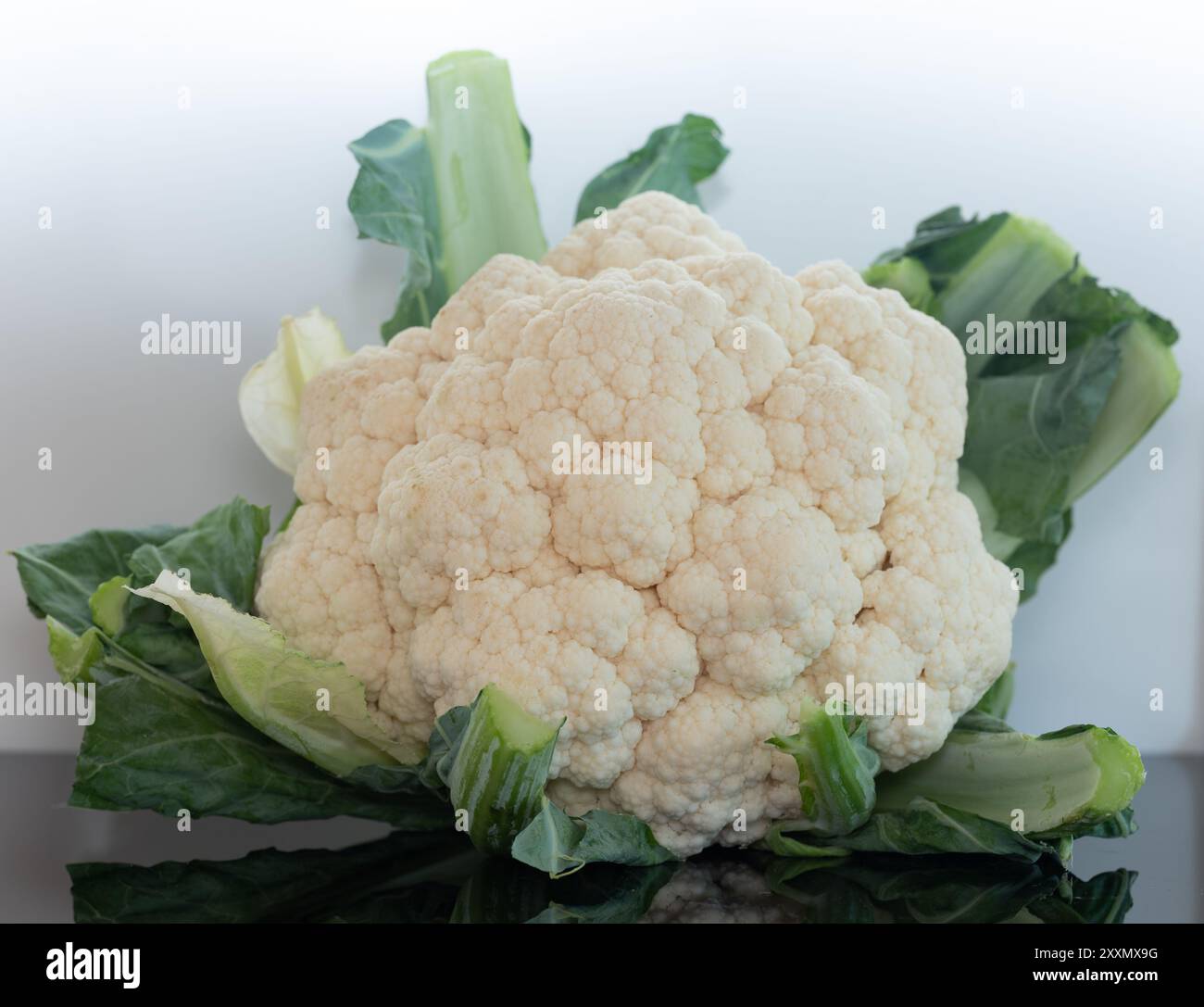 Un chou-fleur entier frais sur un fond blanc Banque D'Images